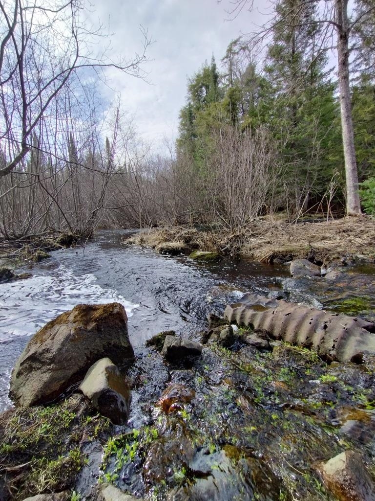 Butternut, Wisconsin, 54514, United States, 3 Bedrooms Bedrooms, ,2 BathroomsBathrooms,Residential,For Sale,1982759