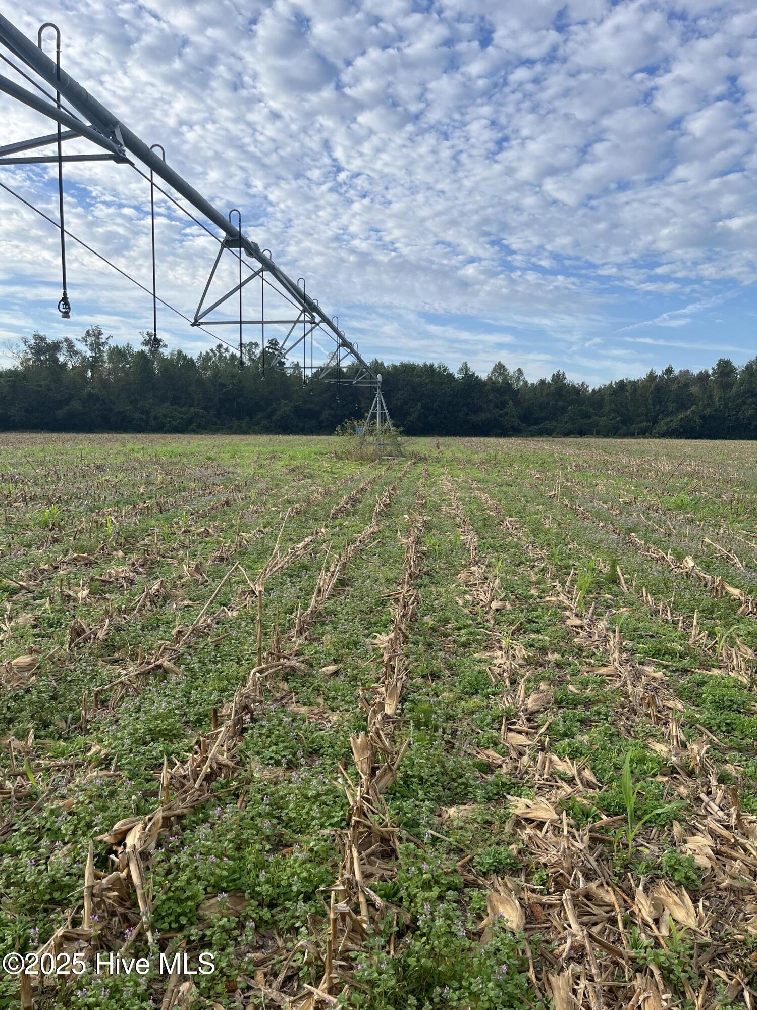 Trenton, North Carolina, 28585, United States, ,Land,For Sale,1963852