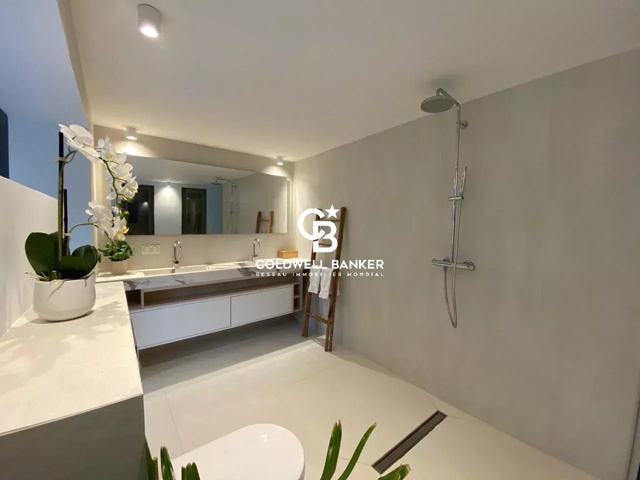 Saint-Barthélemy, Saint Barthelemy, 5 Bedrooms Bedrooms, ,Residential,For Sale,1939211