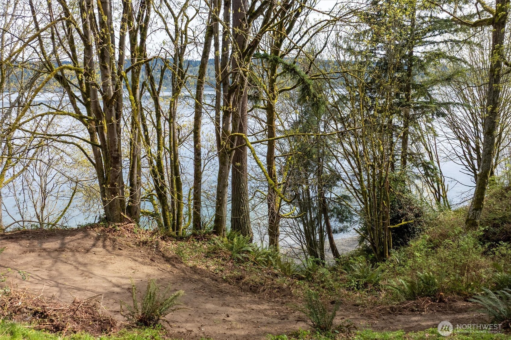 Port Orchard, Washington, 98367, United States, ,Land,For Sale,1767401