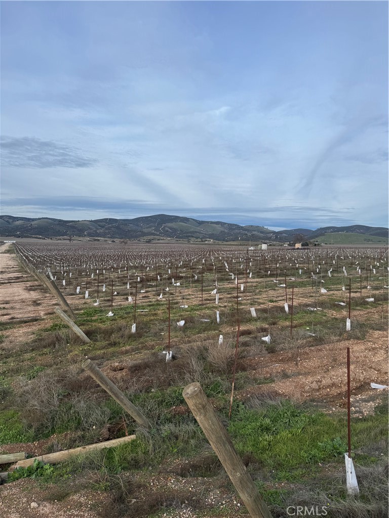 Lockwood, California, 93932, United States, ,Land,For Sale,2006086