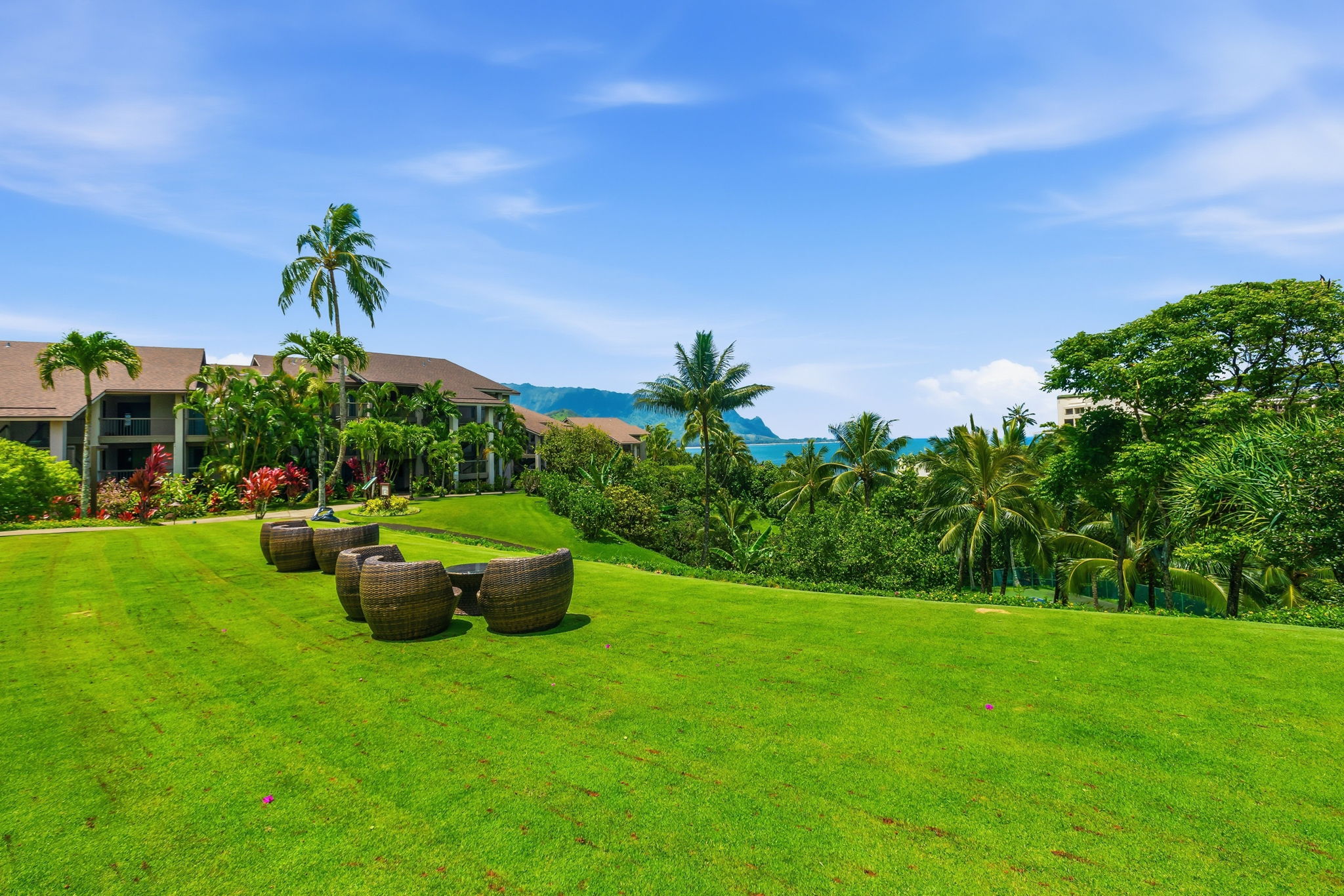  5380 Honoiki Rd, Unit# 8131/32 Princeville, HI, 96722 - 物件實景