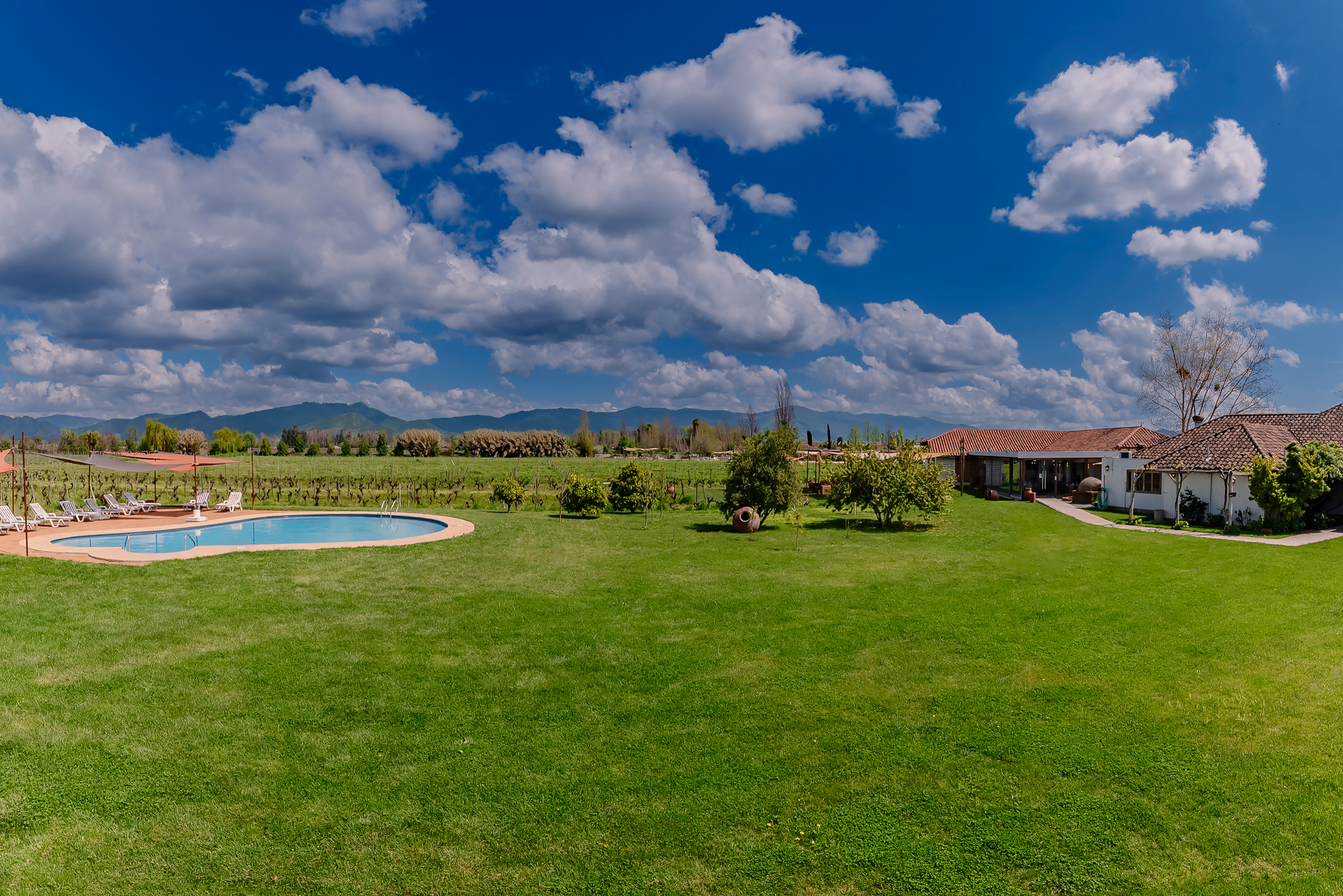  Chilean colonial-style mansion in a 3.3-hectare vineyard in Santa Cruz. - 物件實景