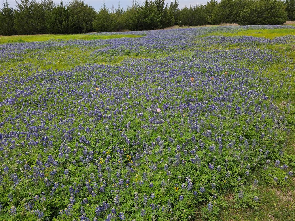 Farmersville, Texas, 75442, United States, 4 Bedrooms Bedrooms, ,3 BathroomsBathrooms,Residential,For Sale,1829305