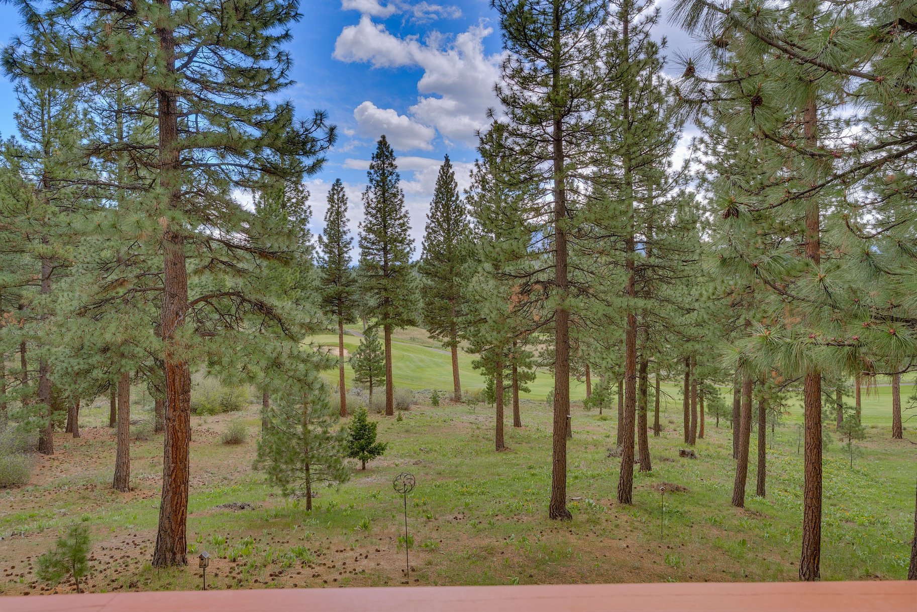  Private Estate Living Along the Fairways of Grizzly Ranch - 物件實景