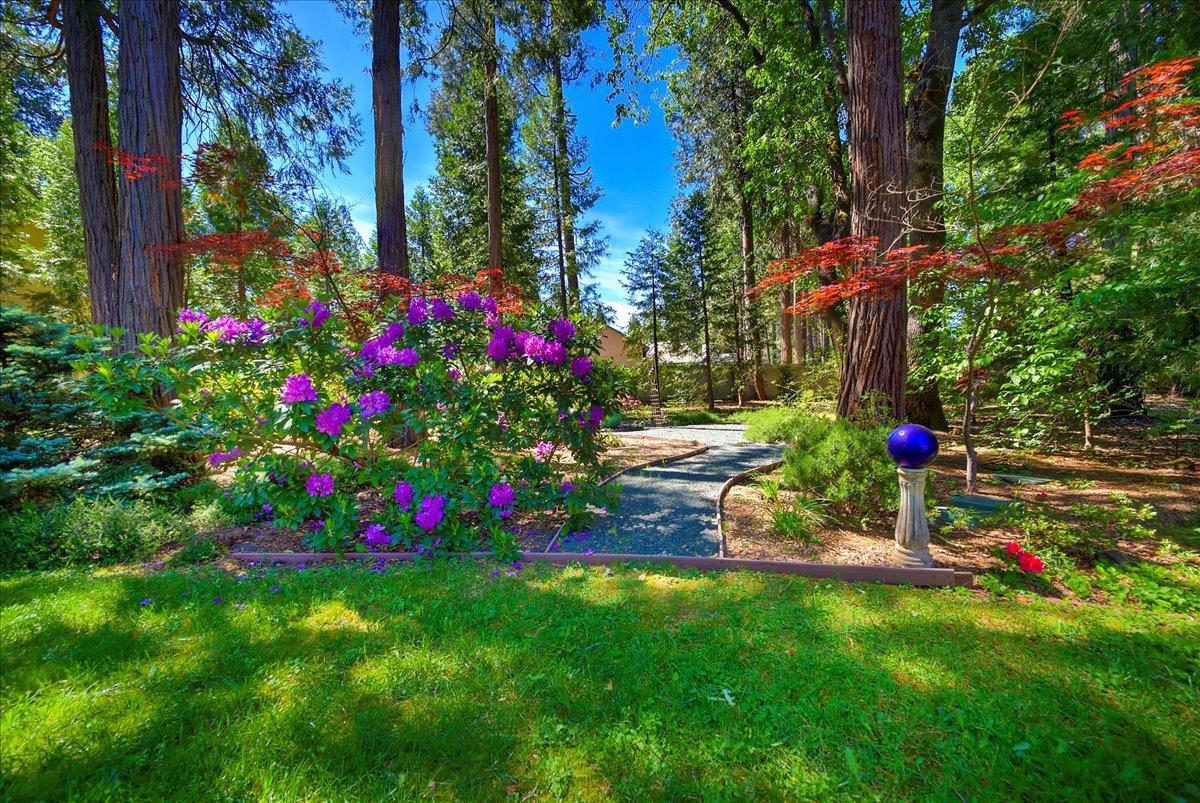 Grass Valley, California, 95945, United States, 4 Bedrooms Bedrooms, ,3 BathroomsBathrooms,Residential,For Sale,1831917