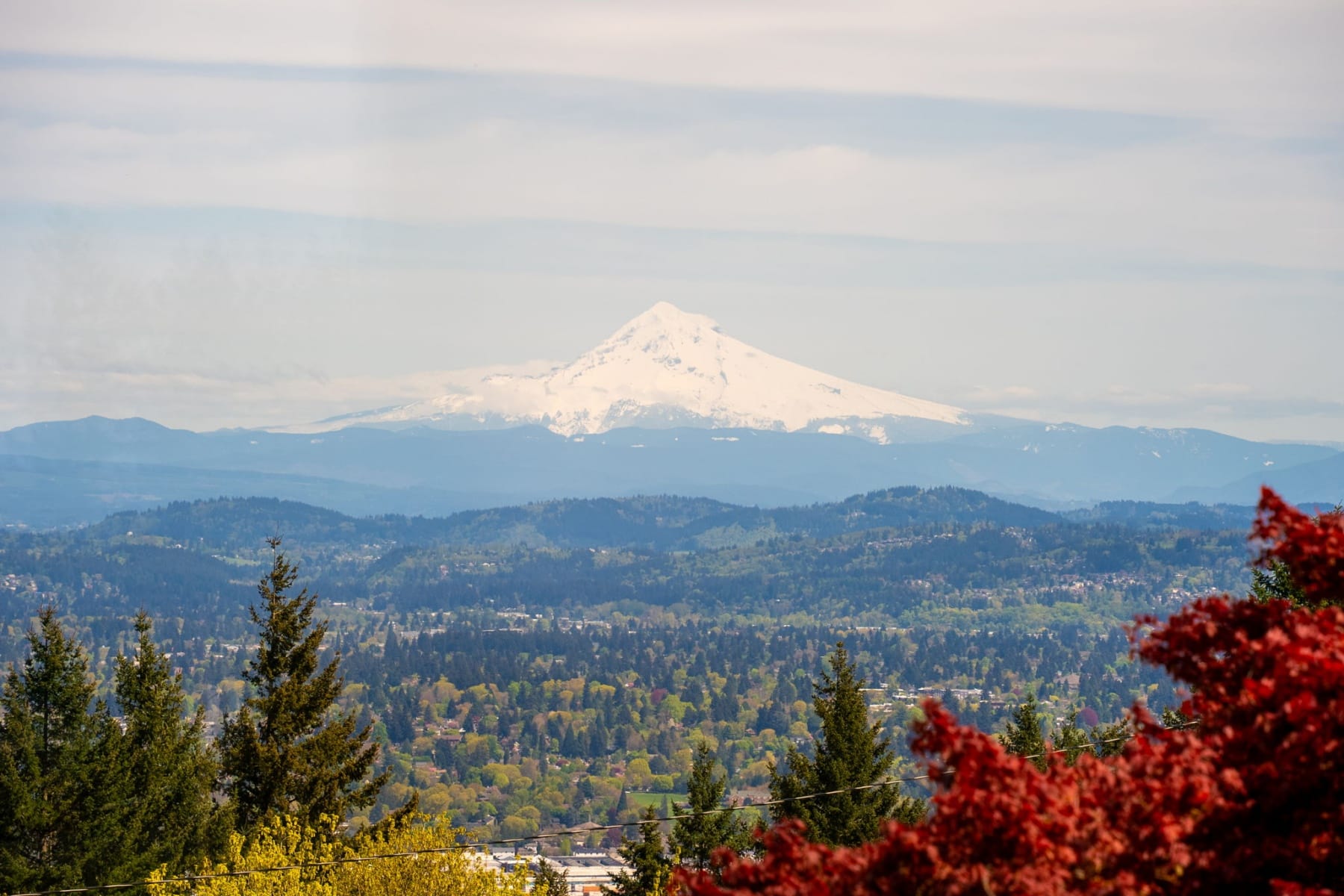  4409 SW CARL PL Portland, OR 97239 - 物件實景