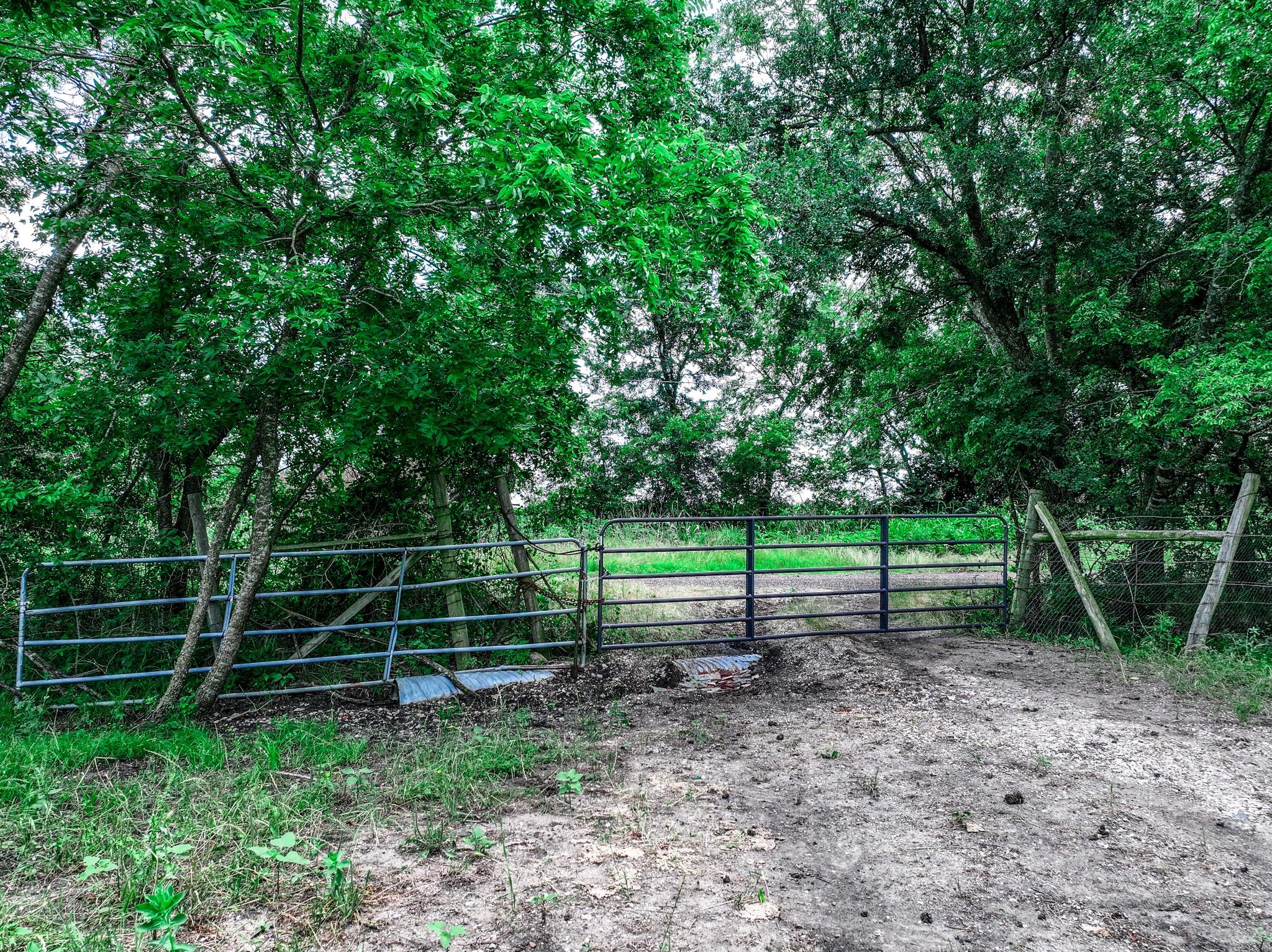 Commerce, Texas, 75428, United States, ,Land,For Sale,1980085