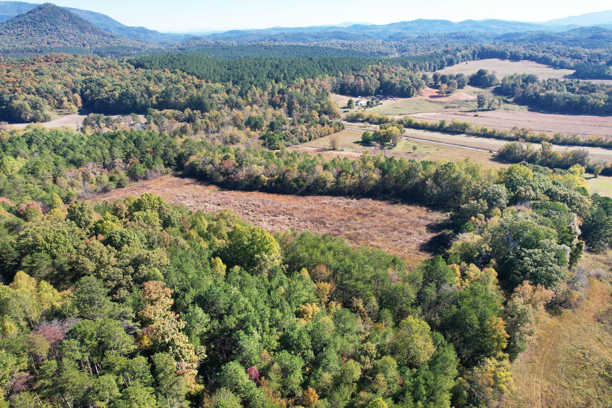 1379 Sand Mountain Road, Ocoee, Tennessee, 37361, United States, ,Residential,For Sale,1379 Sand Mountain Road,1649302