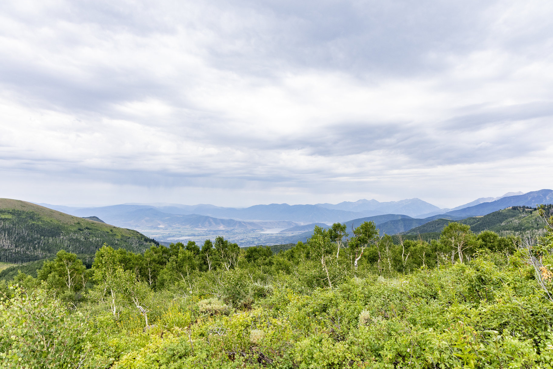  24 Acre Development Parcel in Bonanza Flats - 物件實景