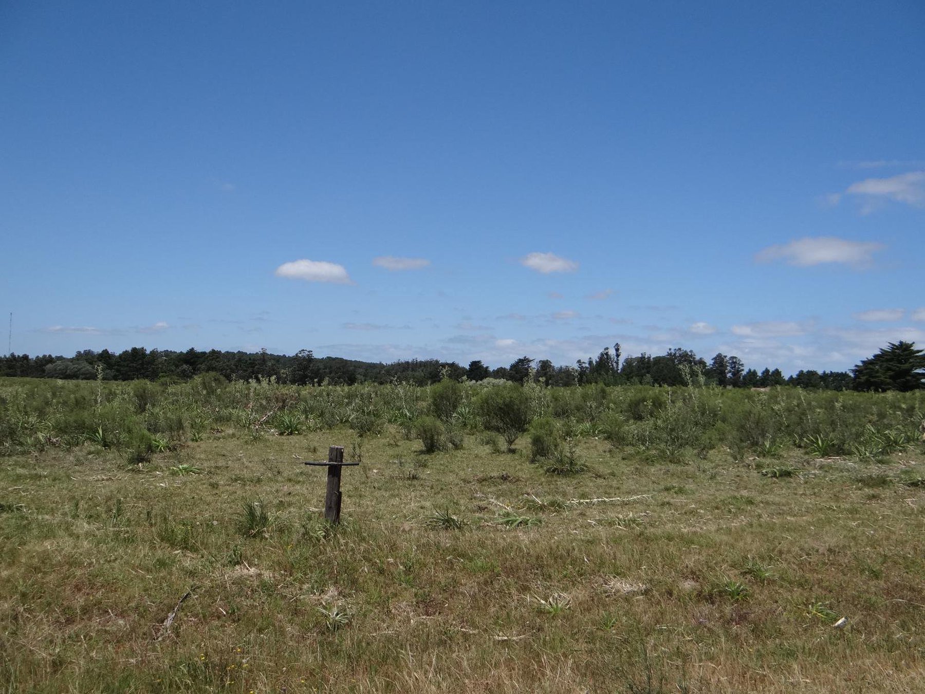  11-hectare farm in Lapataia. - 物件實景