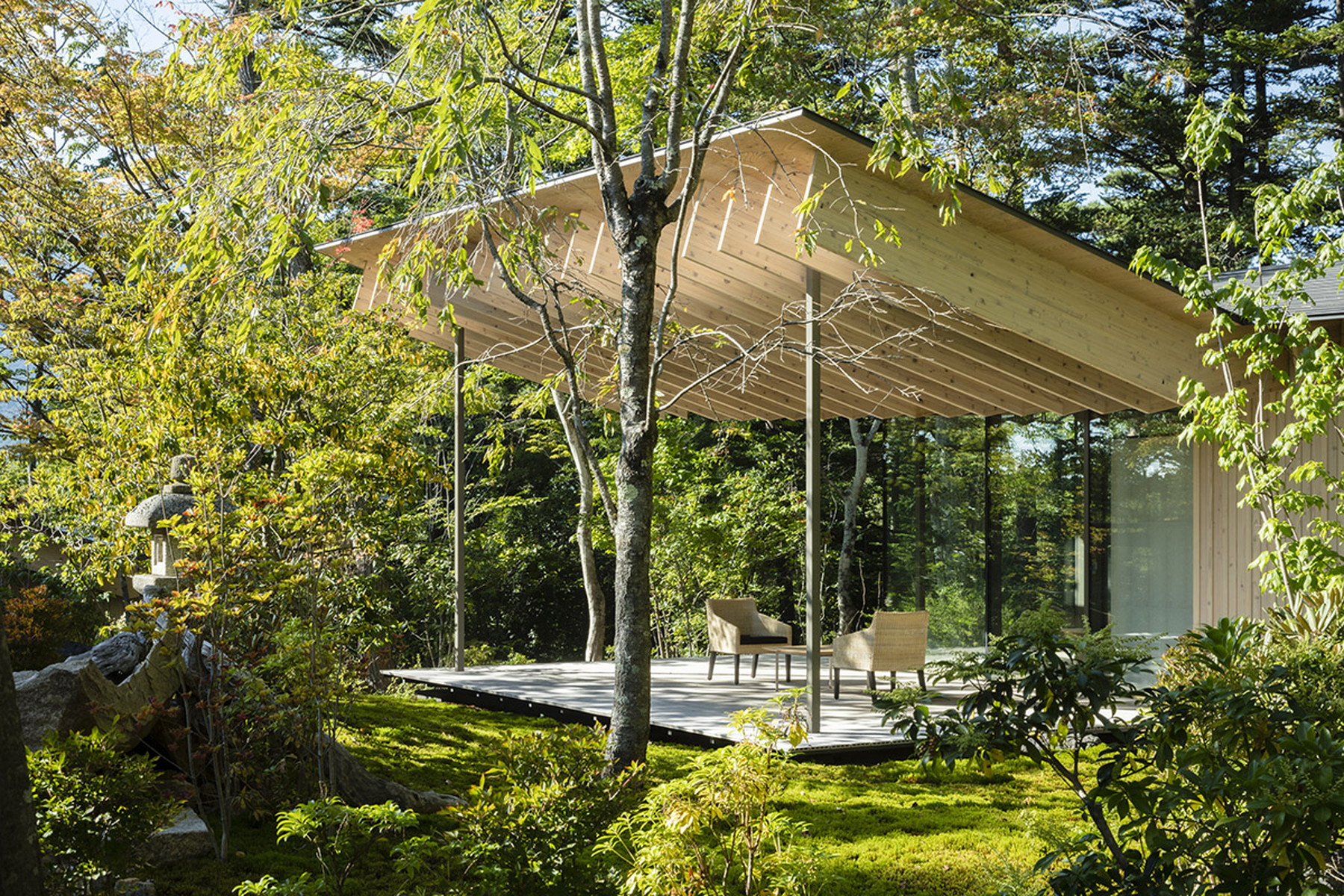  ROOF/BIRDS: Wild Bird Forest Lodge - 物件實景