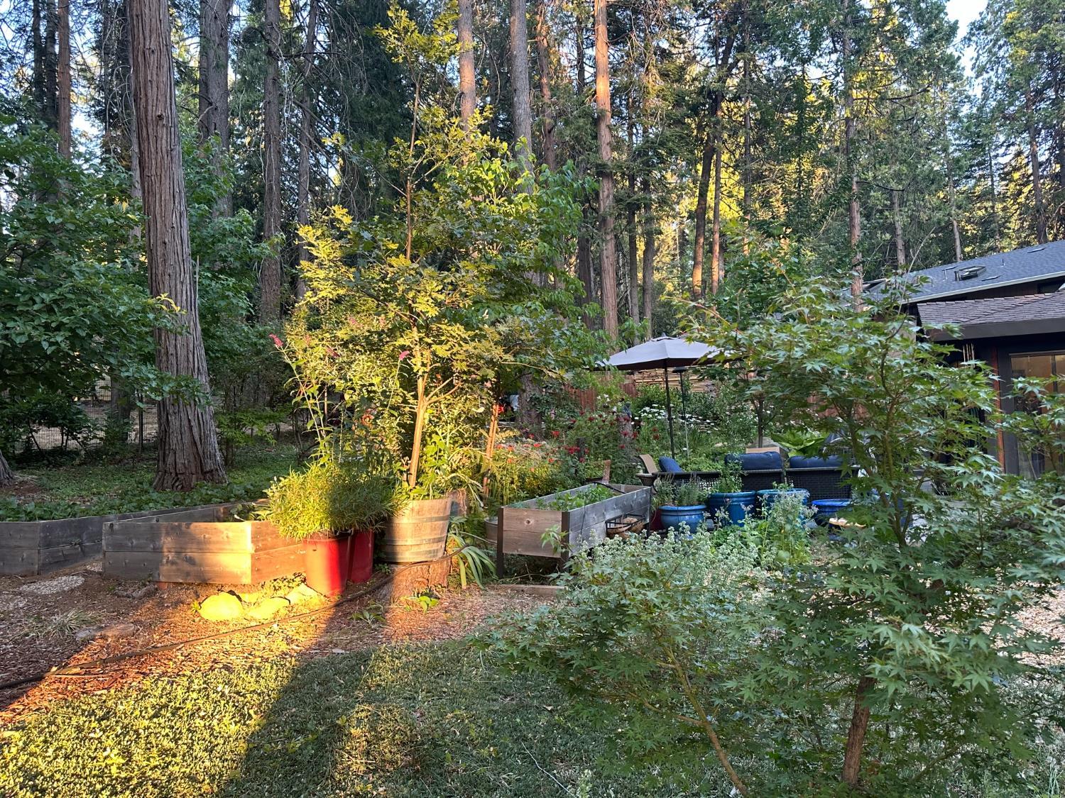 Nevada City, California, 95959, United States, 3 Bedrooms Bedrooms, ,3 BathroomsBathrooms,Residential,For Sale,1945021