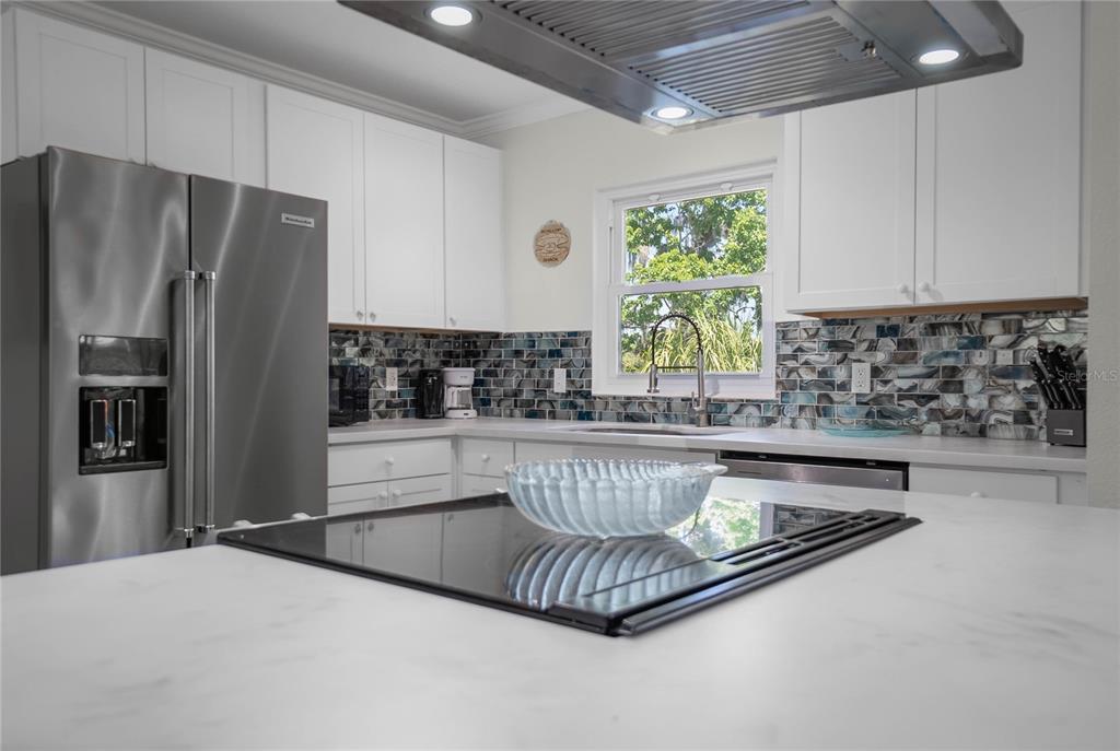 Crystal River, Florida, 34428, United States, 3 Bedrooms Bedrooms, ,2 BathroomsBathrooms,Residential,For Sale,1840194