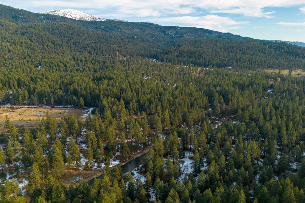 New Meadows, Idaho, 83654, United States, ,Land,For Sale,2005639