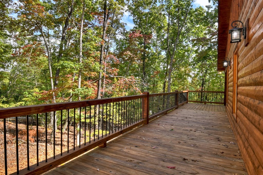 Mineral Bluff, Georgia, 30559, United States, 4 Bedrooms Bedrooms, ,3 BathroomsBathrooms,Residential,For Sale,1953348
