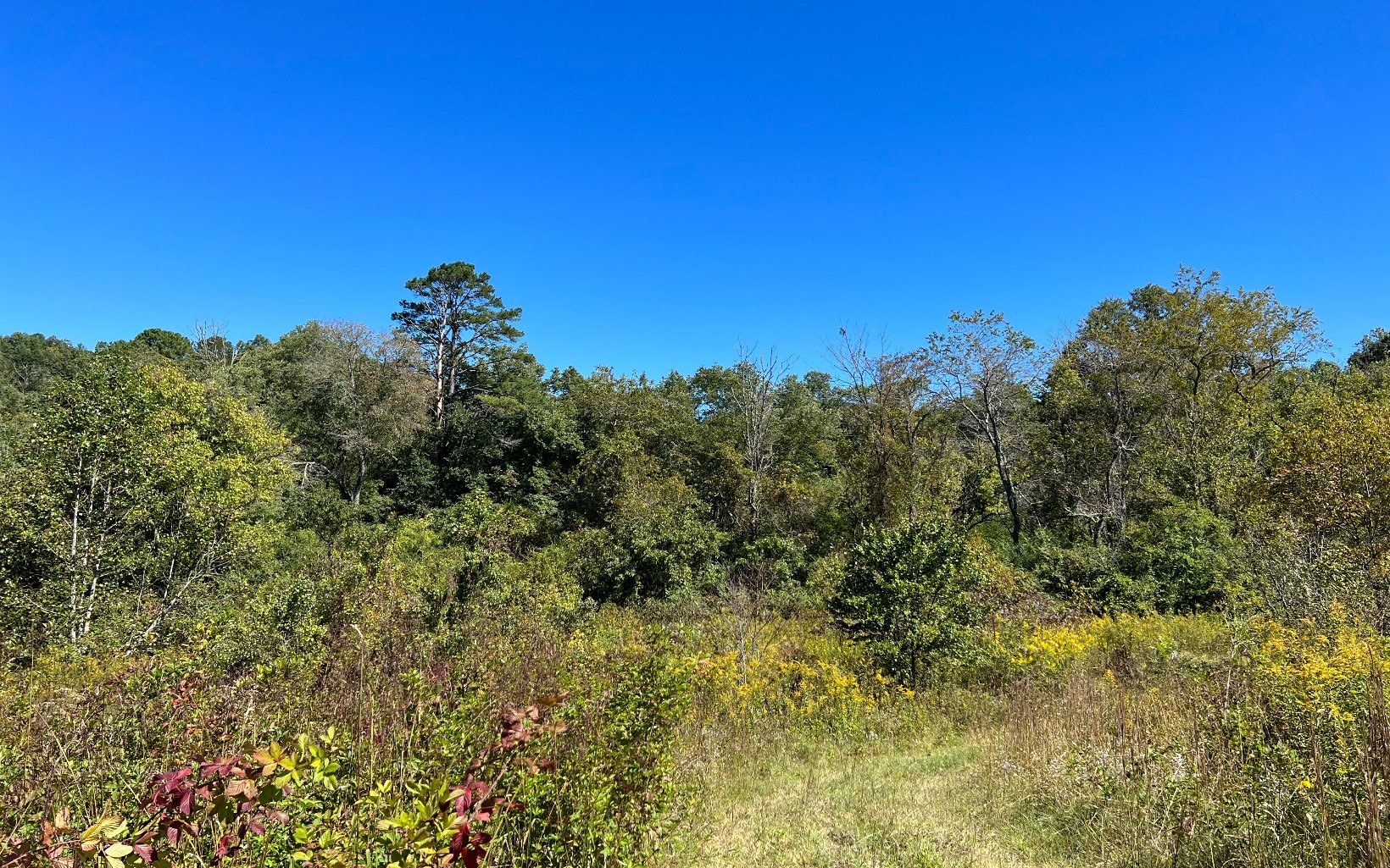 Hayesville, North Carolina, 28904, United States, ,Residential,For Sale,1943293
