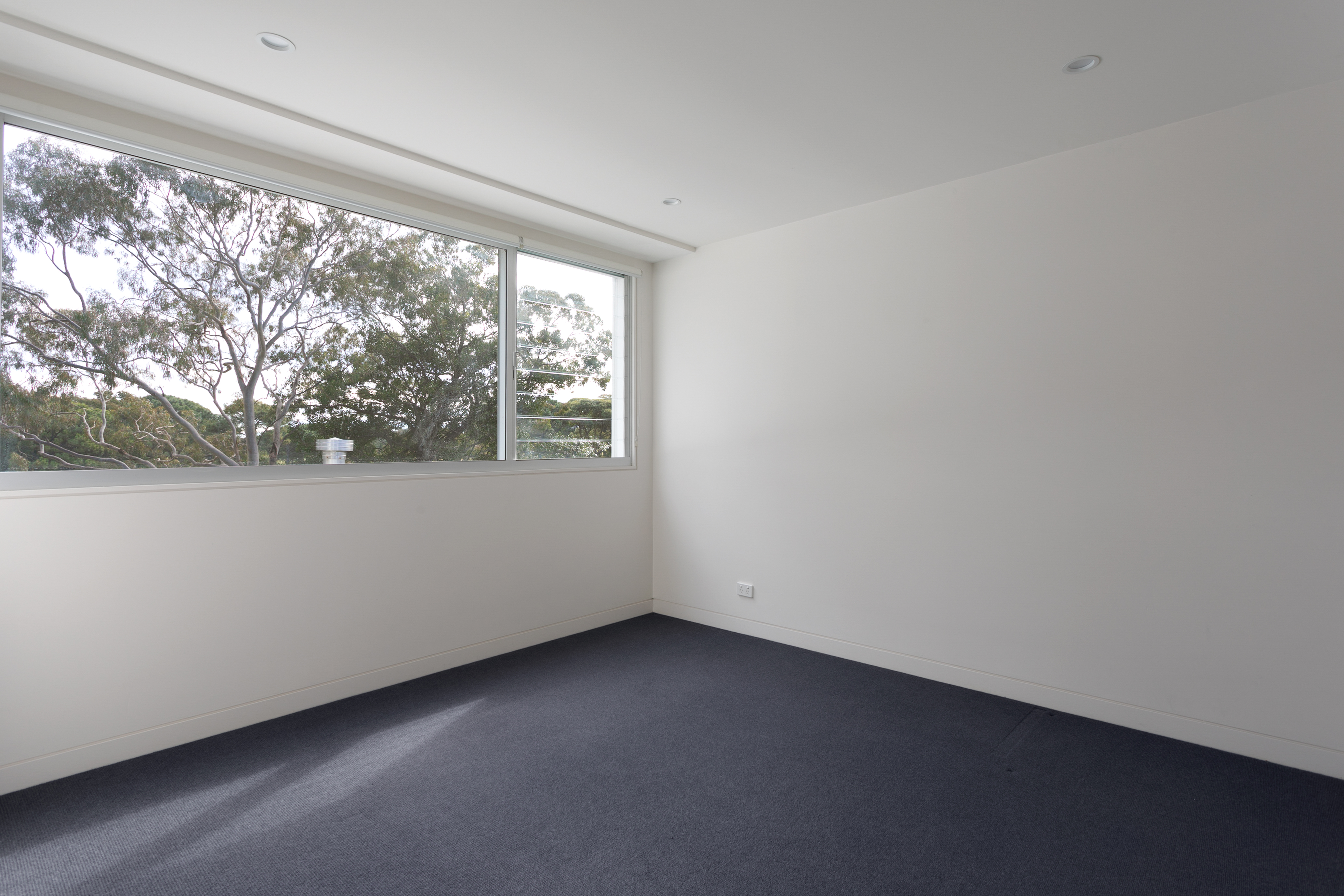  146 Tunstall Avenue, Kingsford NSW 2032 - 物件實景