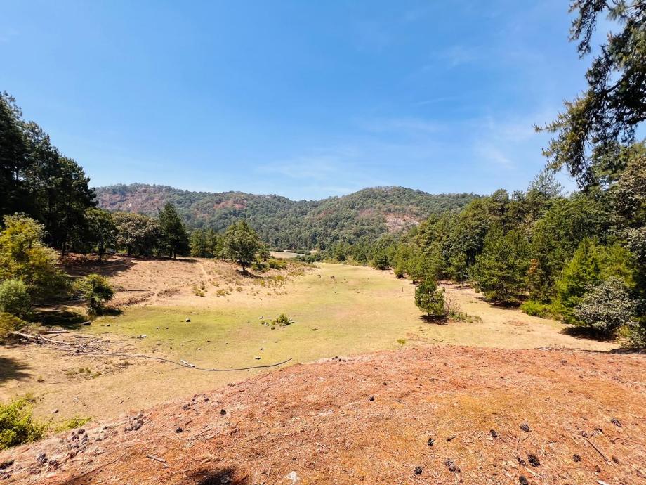 Valle de Bravo, Estado de méxico, 51200, Mexico, 1 Bedroom Bedrooms, ,Residential,For Sale,1721616