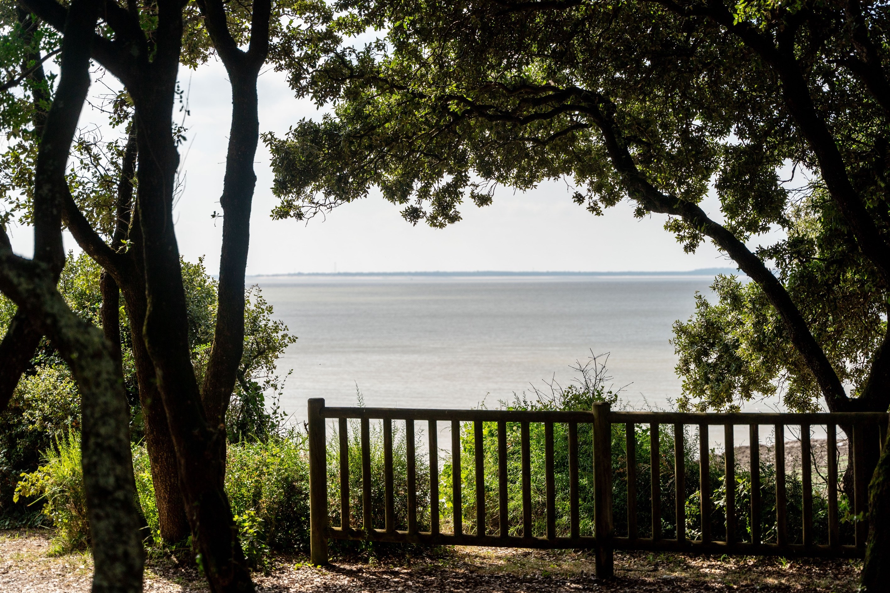  House with sea view in the Domaine des Fées - 物件實景