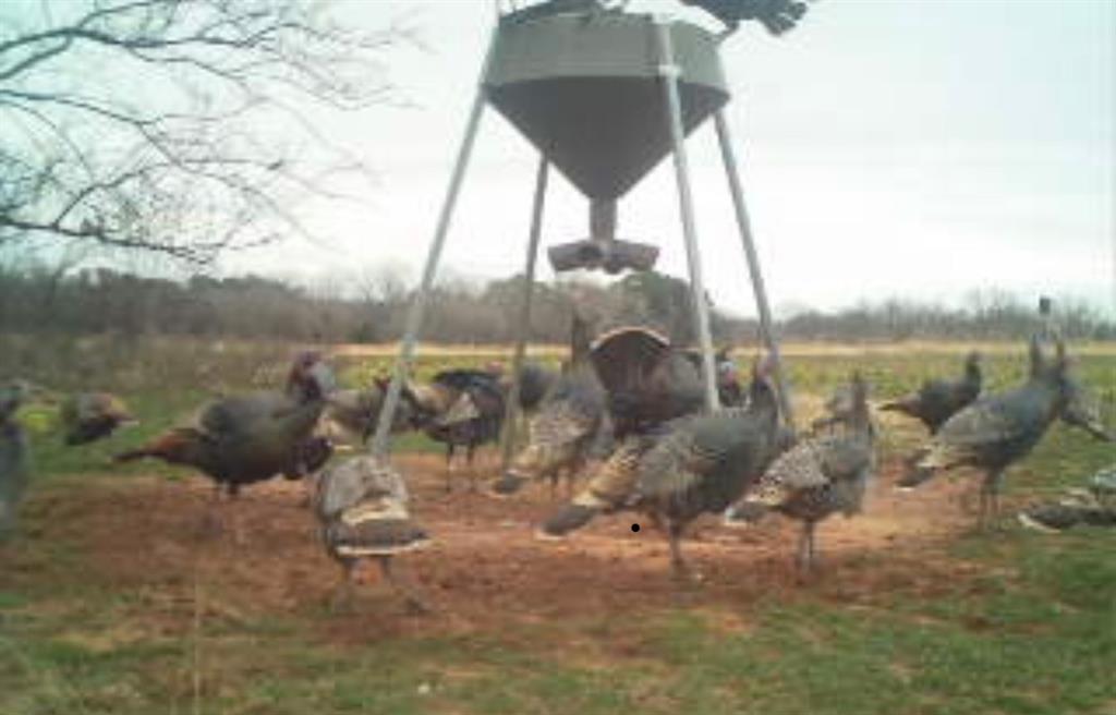 Goldsby, Oklahoma, 73093, United States, ,Land,For Sale,1976317