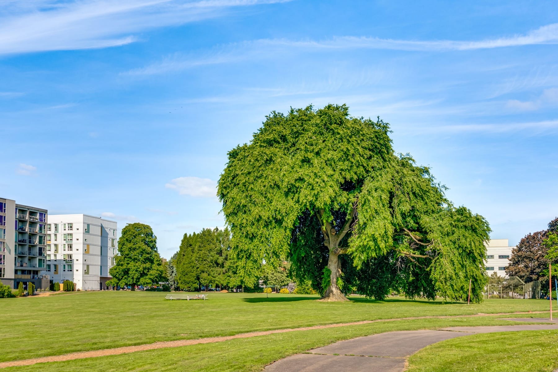  3762 N Melrose DR Portland, OR 97227 - 物件實景