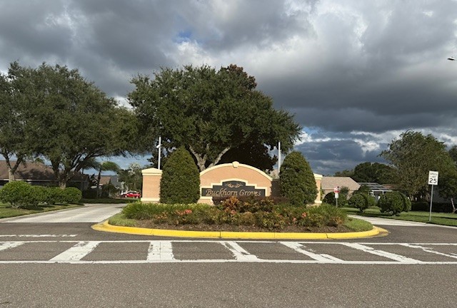 Valrico, Florida, 33596, United States, 5 Bedrooms Bedrooms, ,3 BathroomsBathrooms,Residential,For Sale,1935788