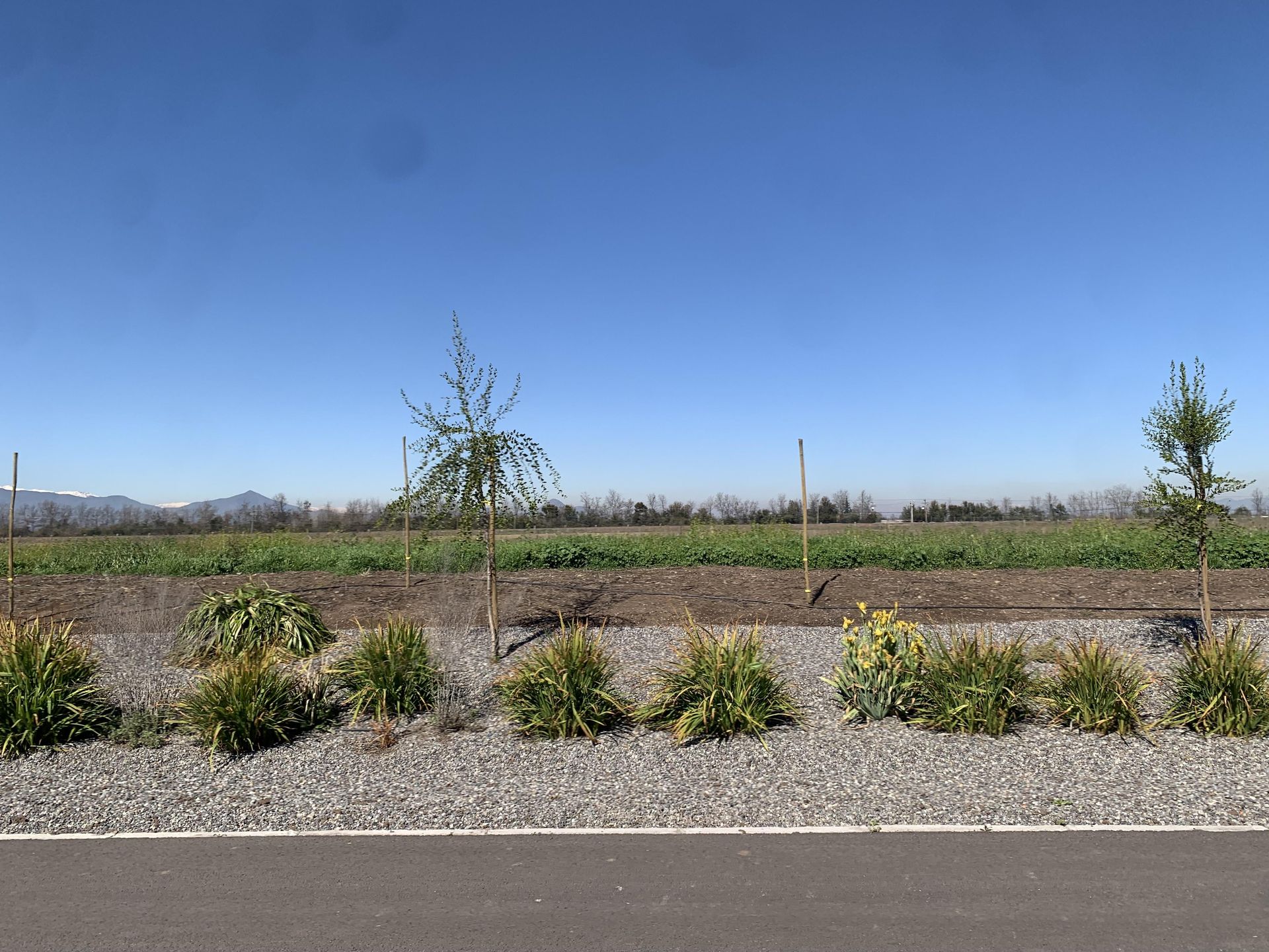Colina, Chile, ,Land,For Sale,1940115