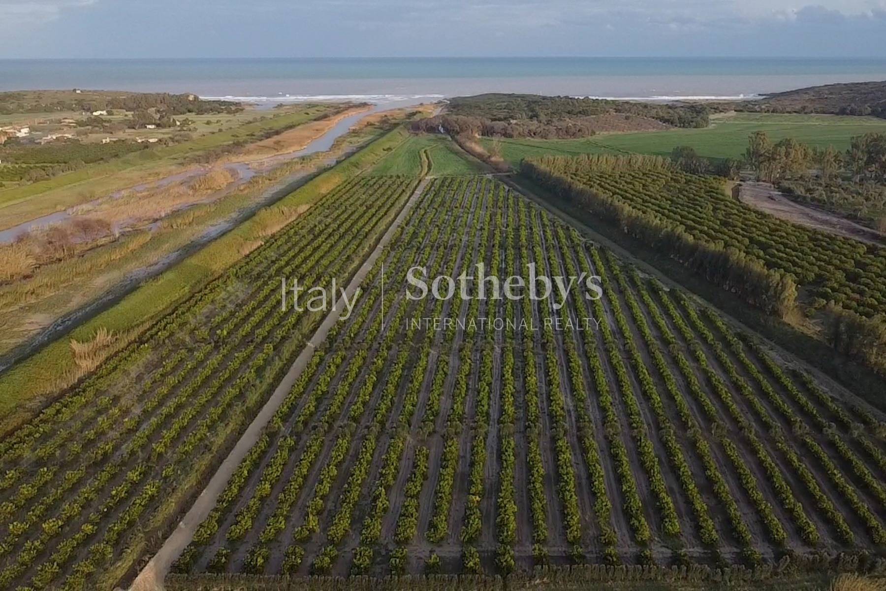  Historic farmhouse in the heart of the Vendicari Natural Reserve - 物件實景