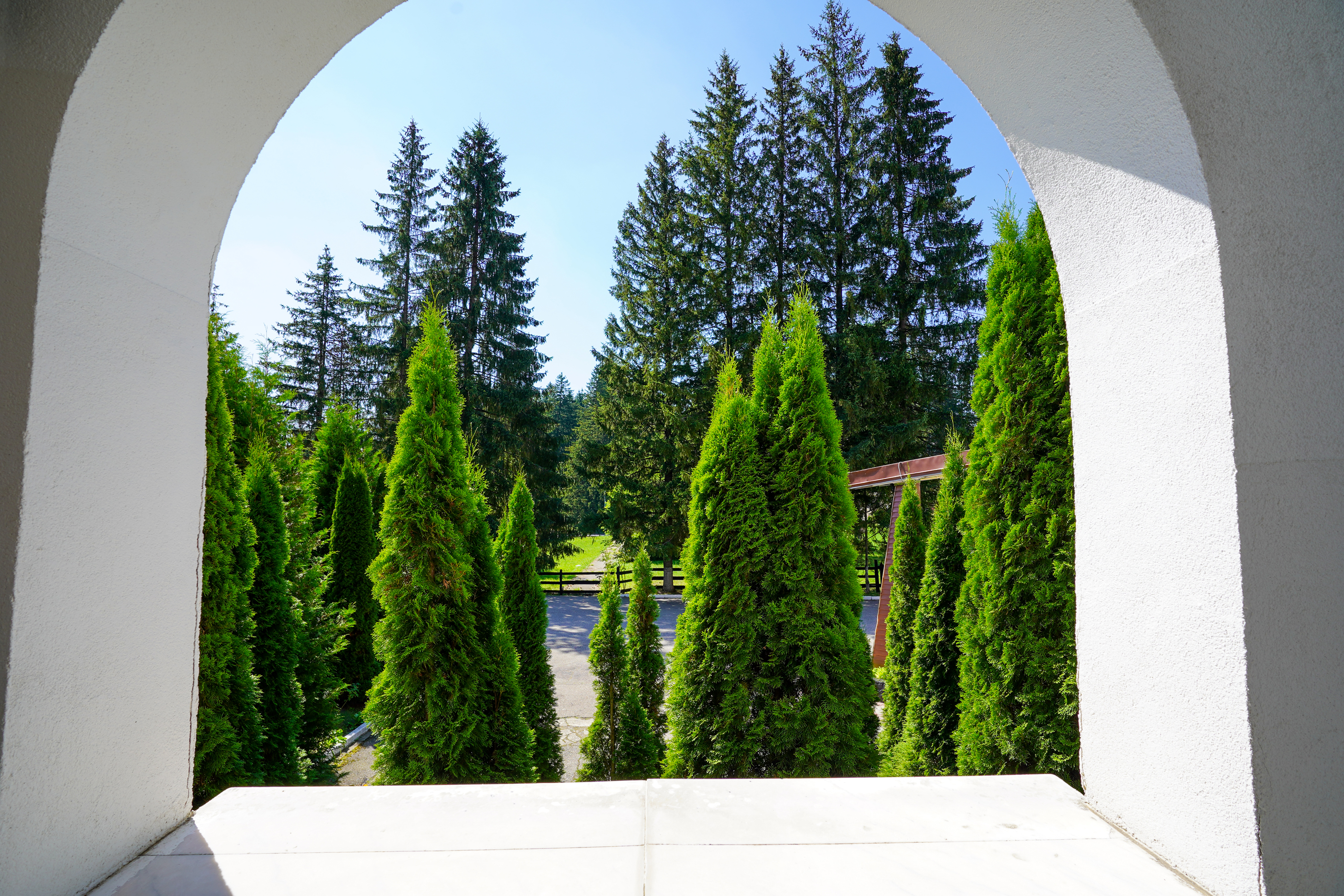  Hotel Miraj – 4-Star Hotel in the Heart of the Poiana Braov Mountain Resort - 物件實景