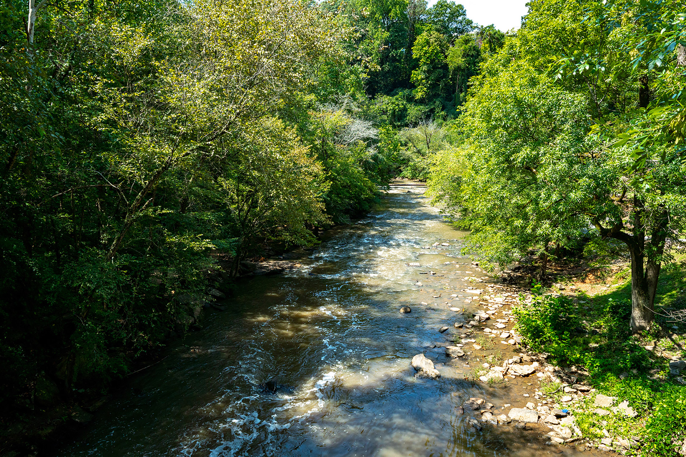  Introducing Another Sophisticated and Well-Crafted Home - 物件實景