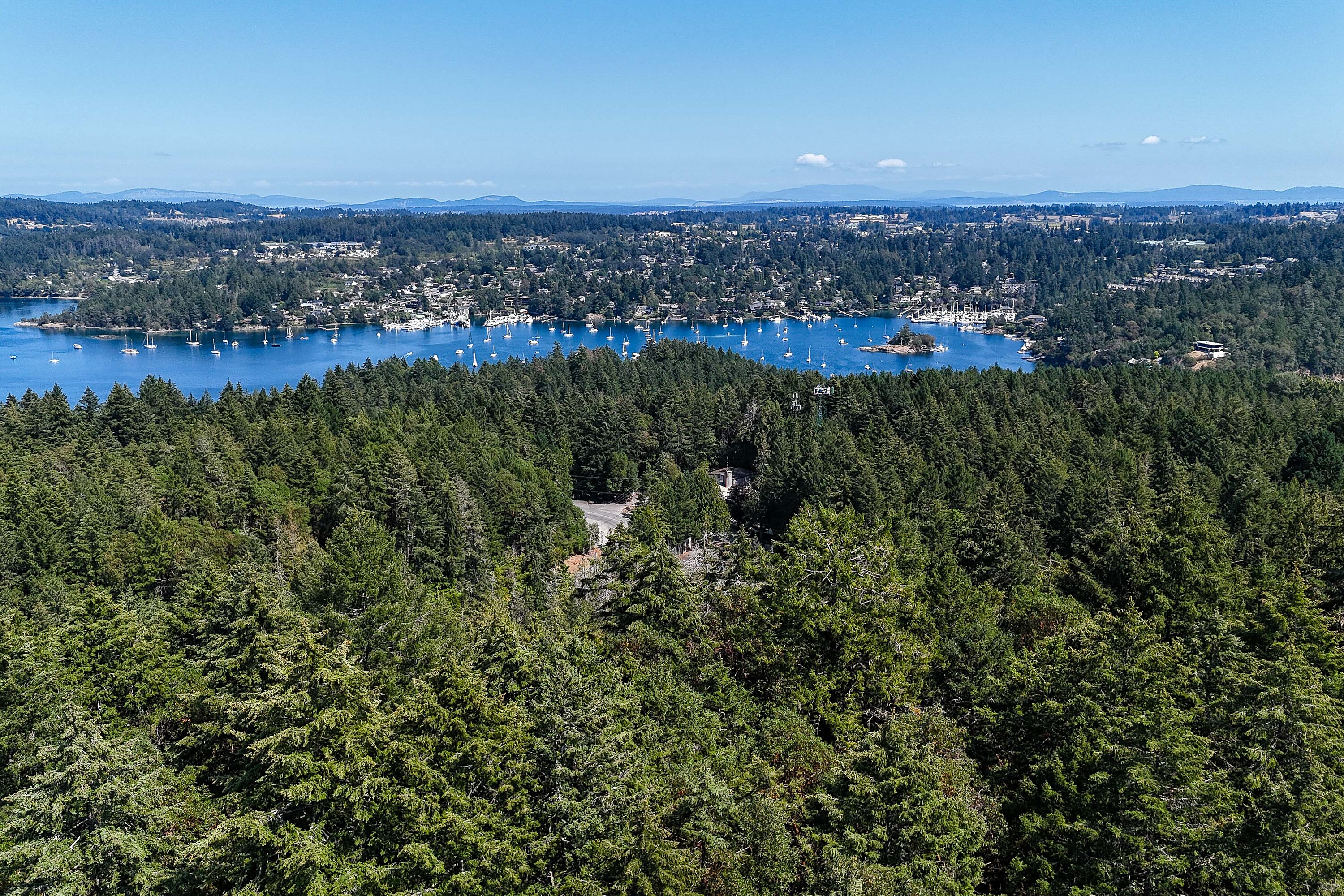  Scenic Peninsula Acreage - 物件實景