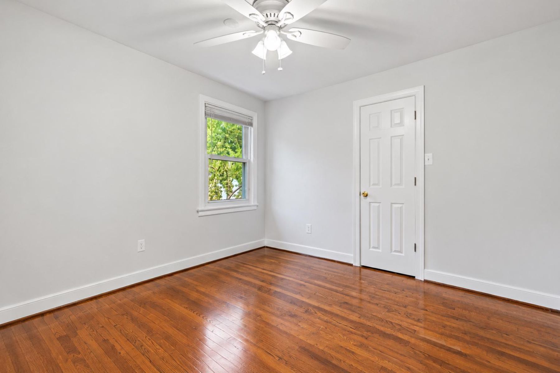  12215 Judson Road, Silver Spring, MD, 20902 - 物件實景