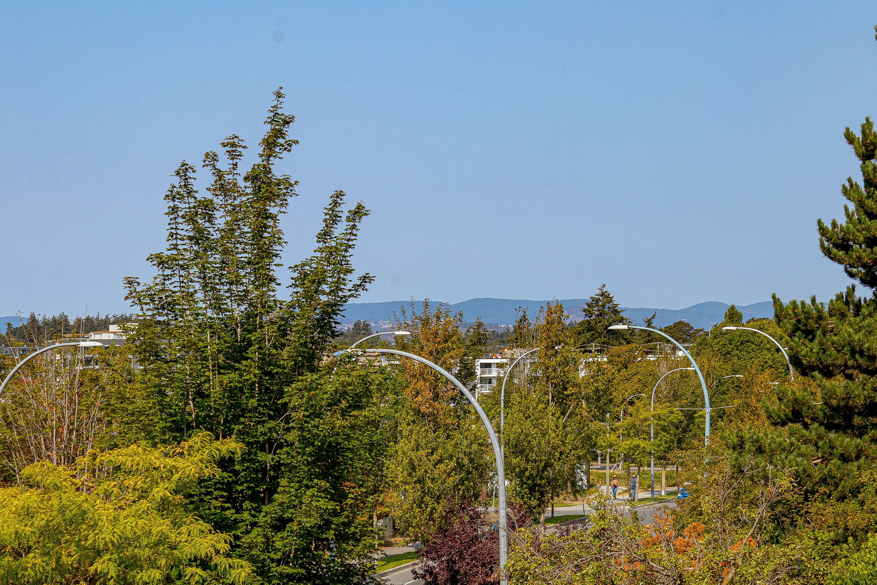  The Edge in Popular Vic West - 物件實景