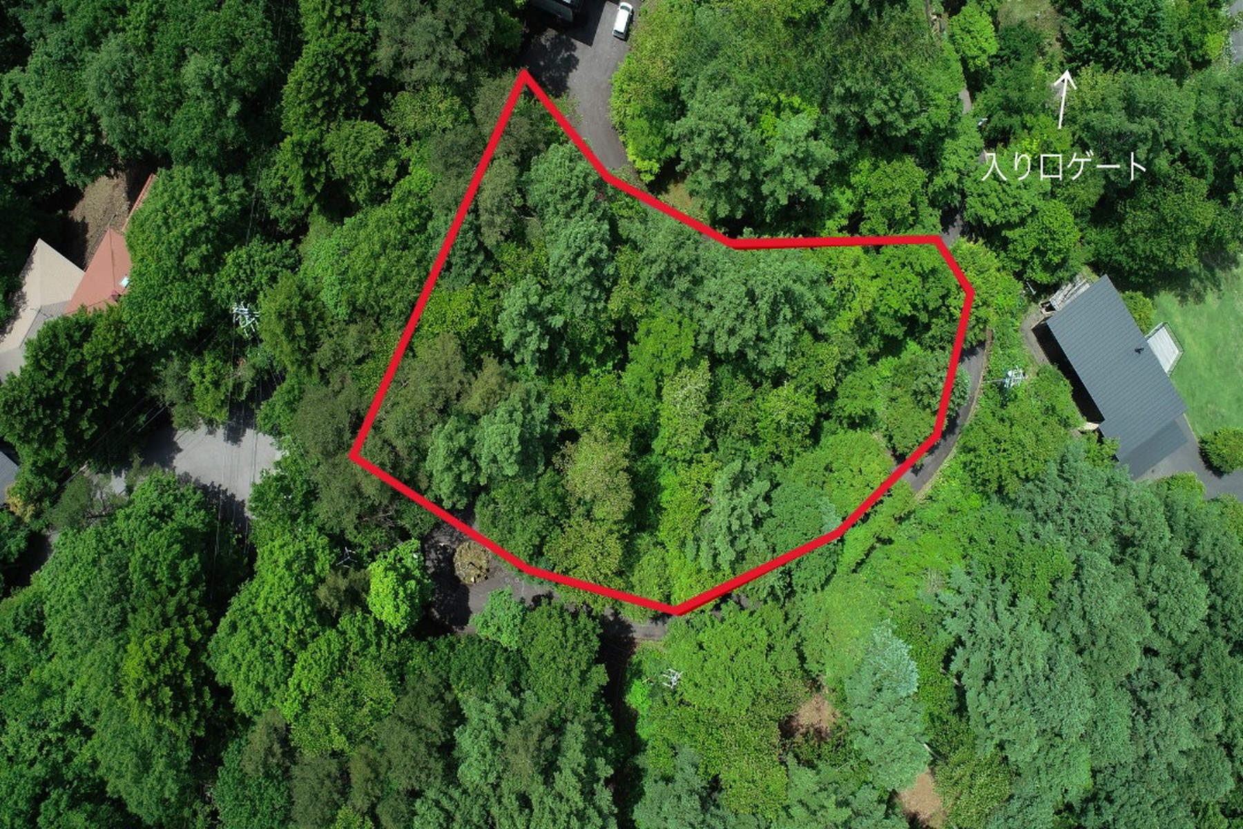  Blanchard Forest Estate Site - 物件實景