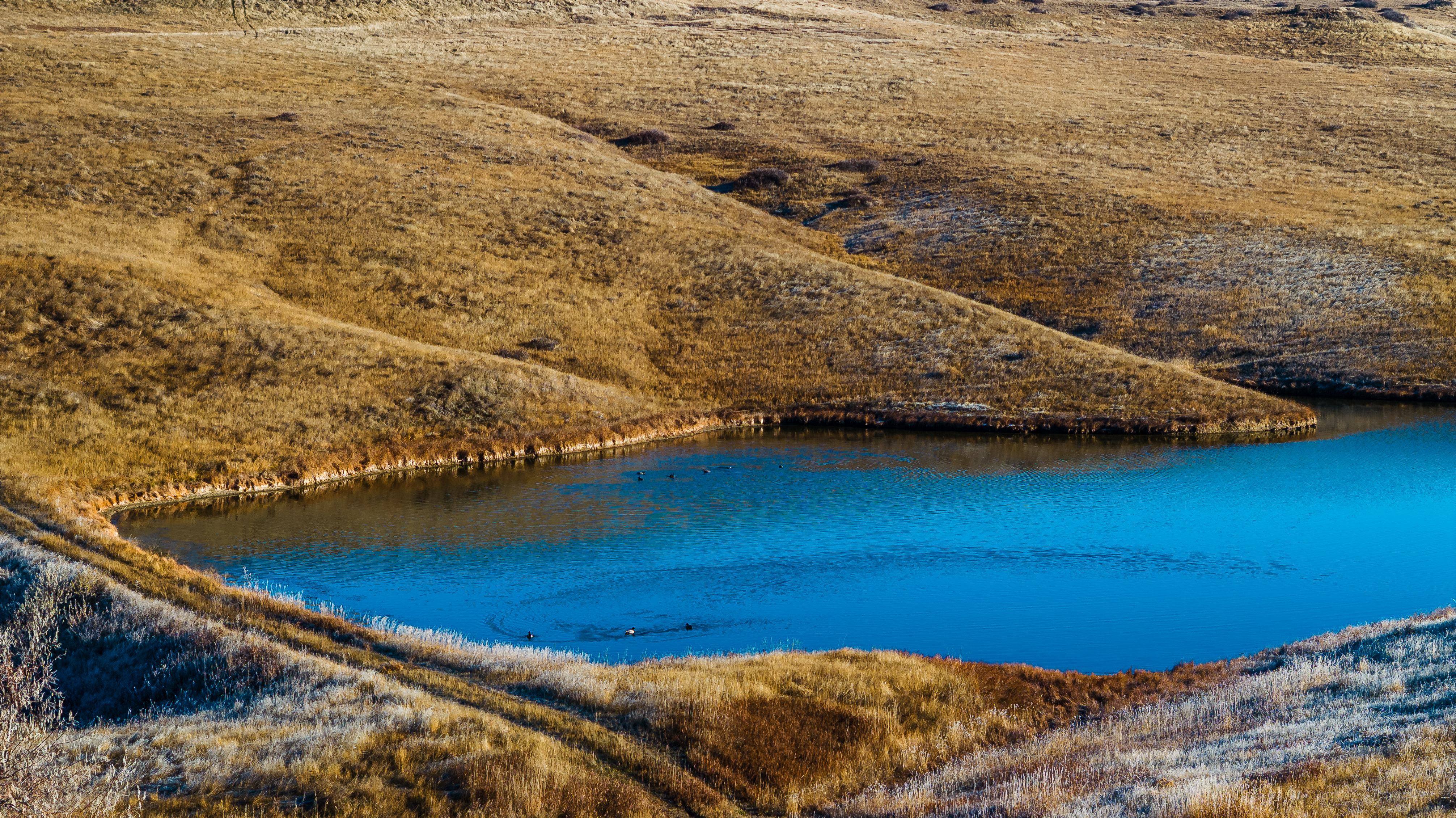 Sheridan, Wyoming, 82801, United States, ,Land,For Sale,2005822