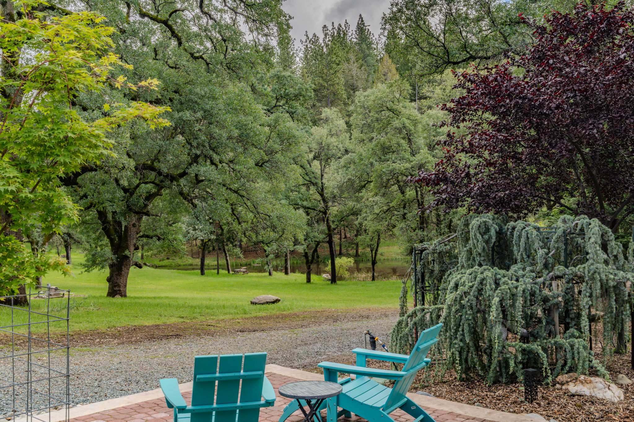  19351 Fiddletown Road, Fiddletown, CA 95629 - 物件實景