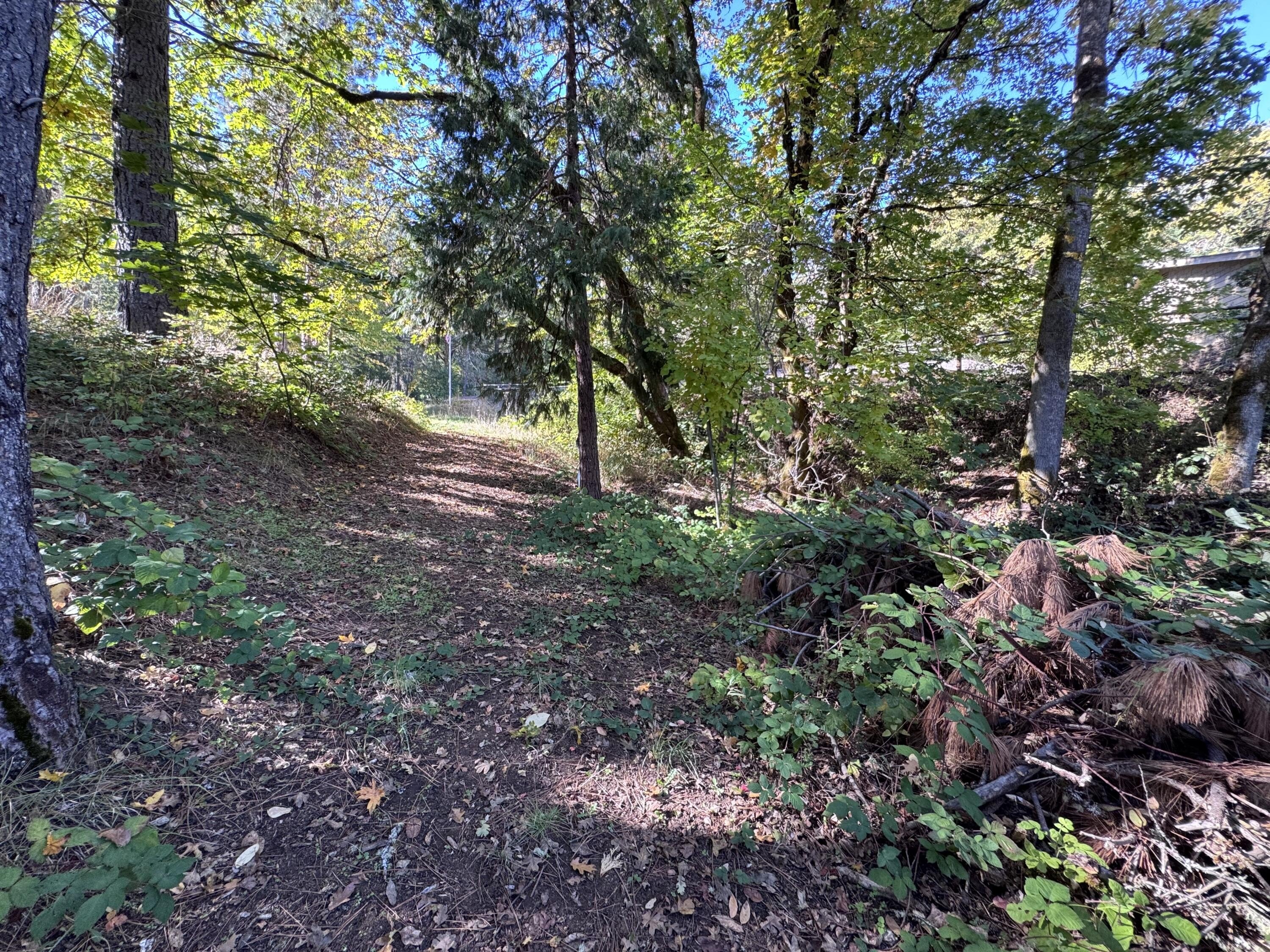 Rogue River, Oregon, 97537, United States, 3 Bedrooms Bedrooms, ,4 BathroomsBathrooms,Residential,For Sale,1982617