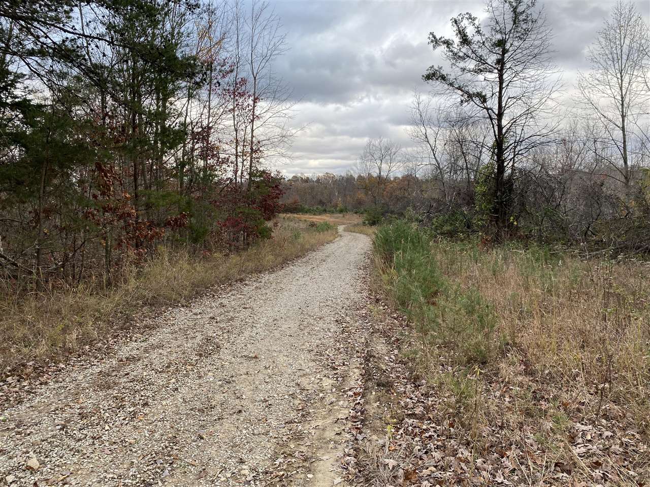 Clarkson, Kentucky, 42726, United States, ,Land,For Sale,1828562