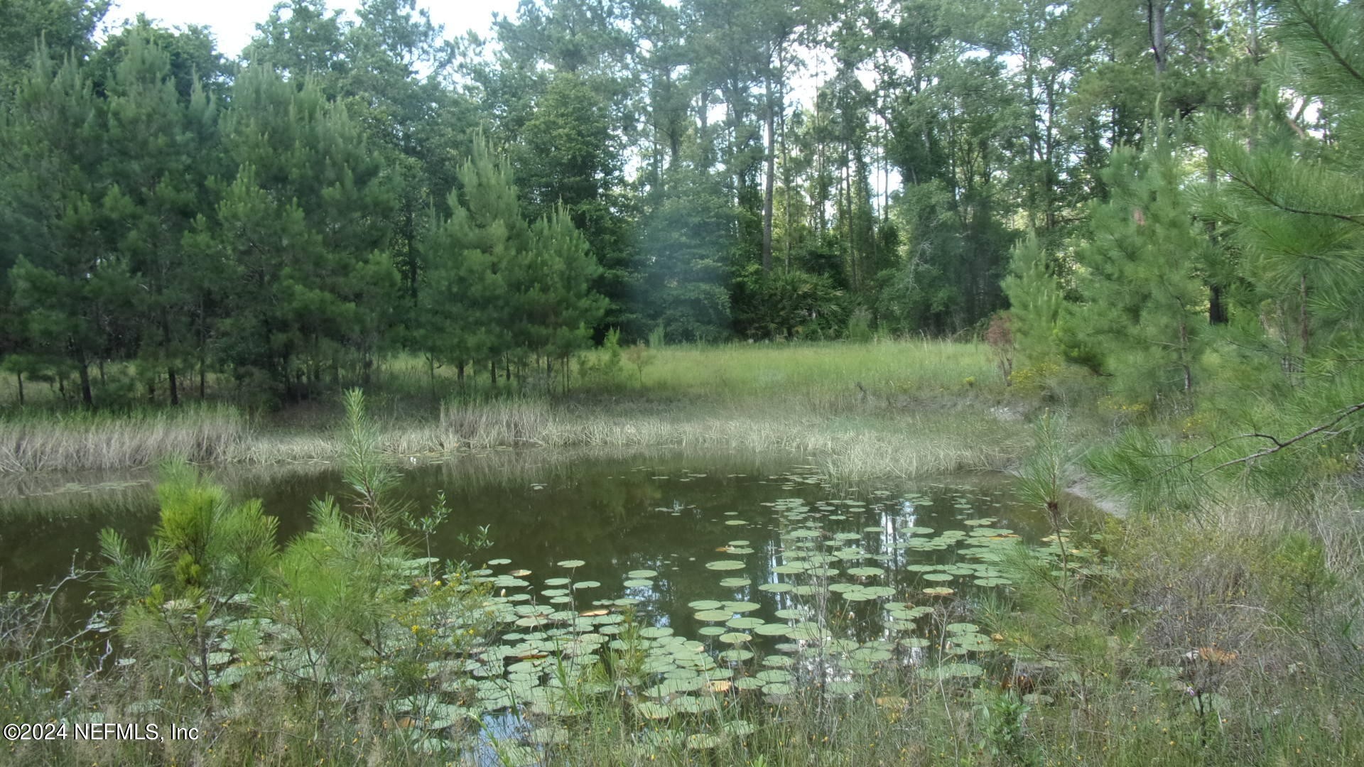Palatka, Florida, 32177, United States, ,Residential,For Sale,1924559