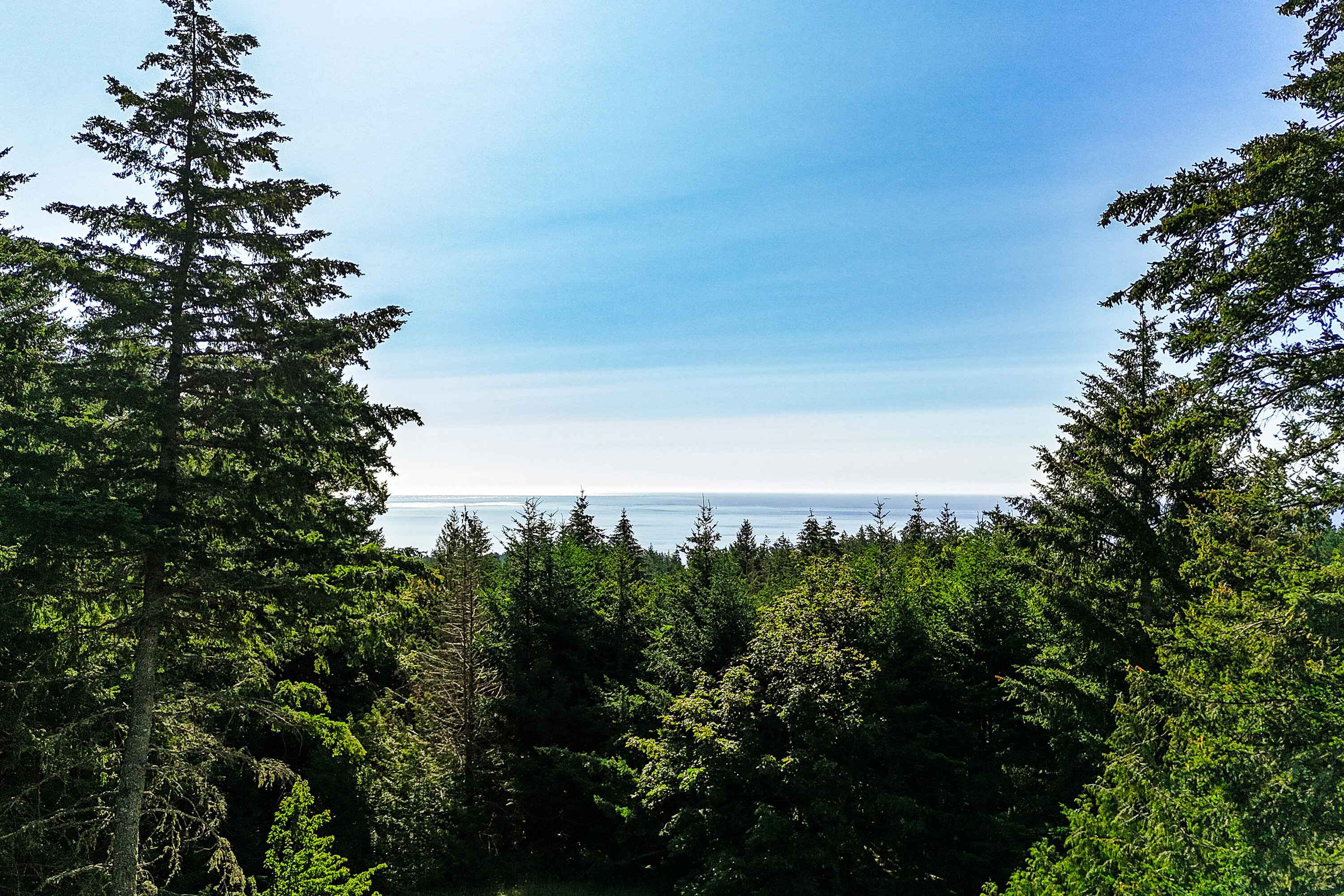  Charm of Metchosin - 物件實景