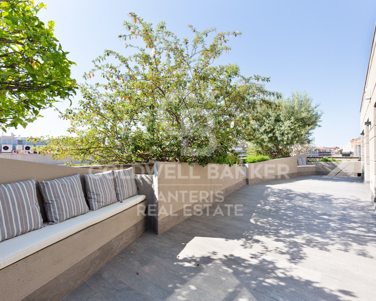 Barcelona, Barcelona, Eixample, La Nova Esquerra d, Barcelona, Catalonia, ES, 6 Bedrooms Bedrooms, ,5 BathroomsBathrooms,Residential,For Sale,Barcelona, Barcelona, Eixample, La Nova Esquerra d,1619004