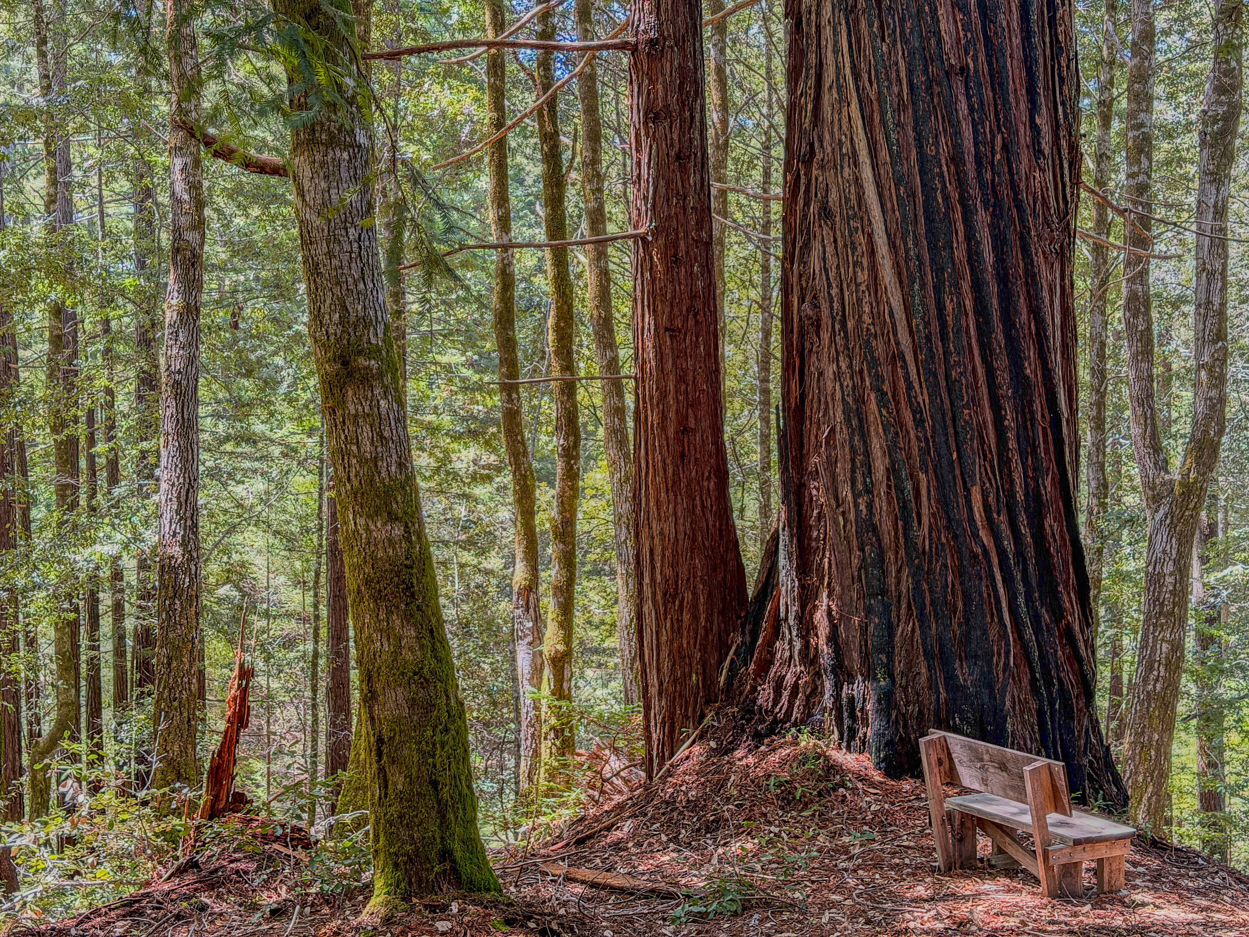  Crann Rua - 物件實景