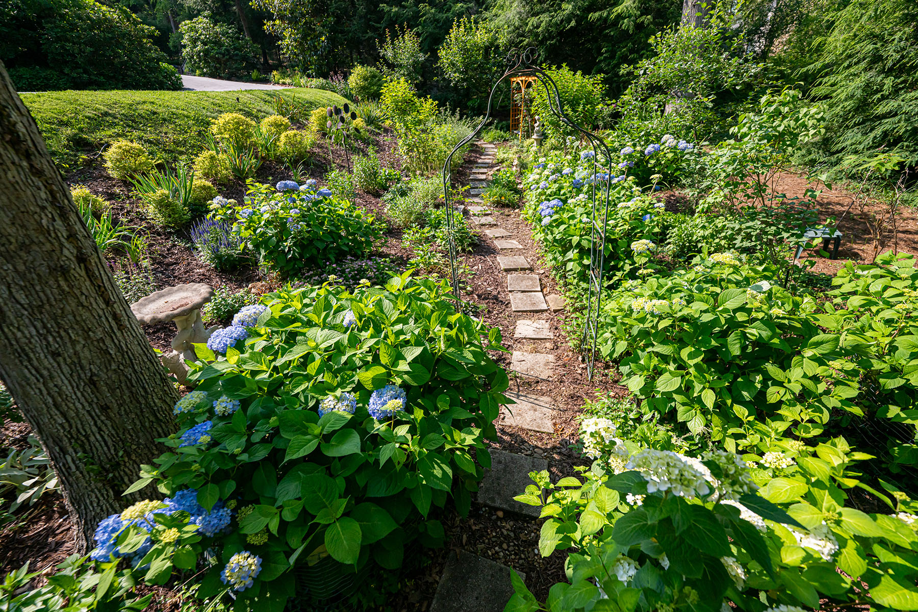  ASHEVILLE - 物件實景
