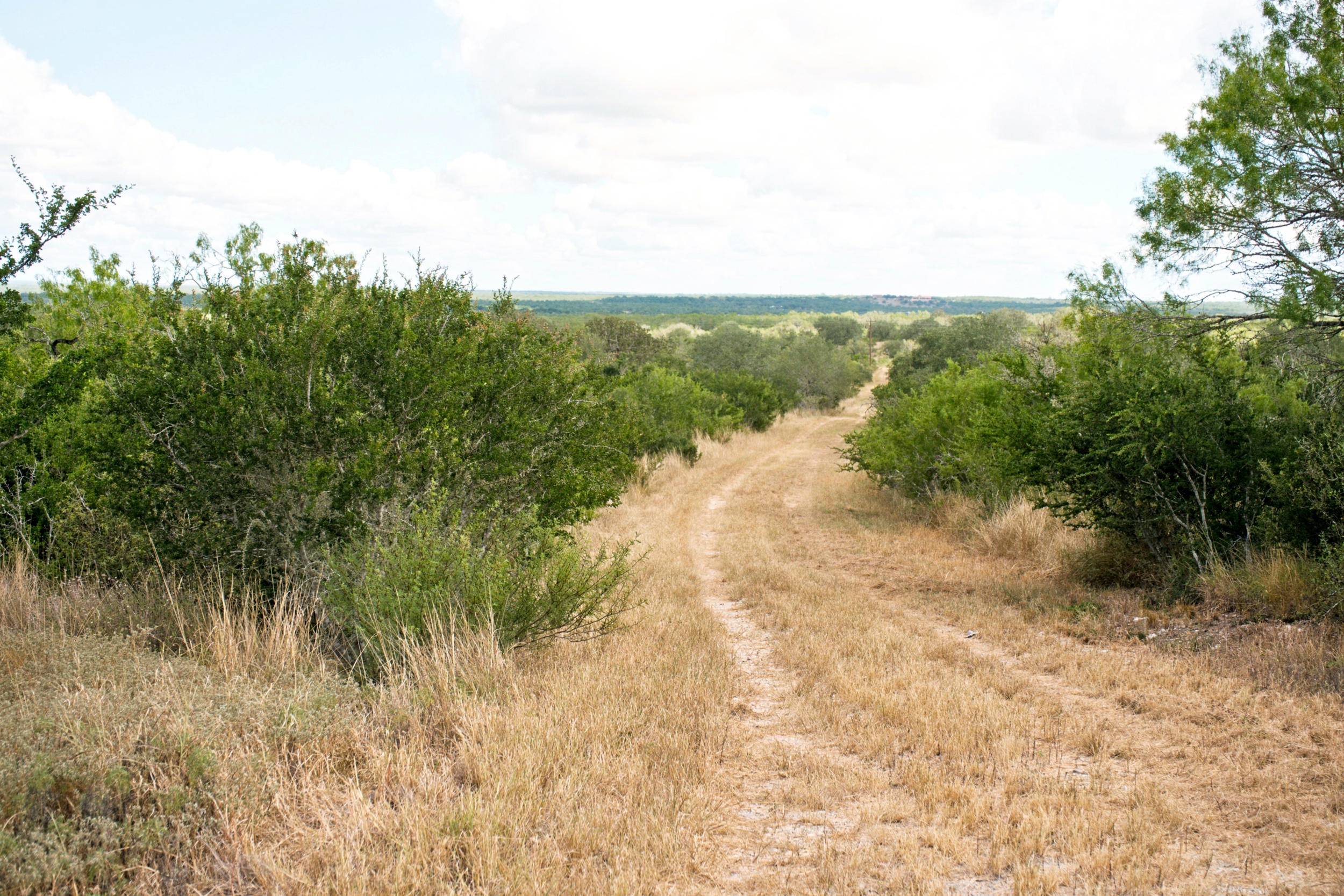  1234.89 +/- Acres, Santa Clara Ranch, Atascosa County, Falls City, TX 78113 - 物件實景