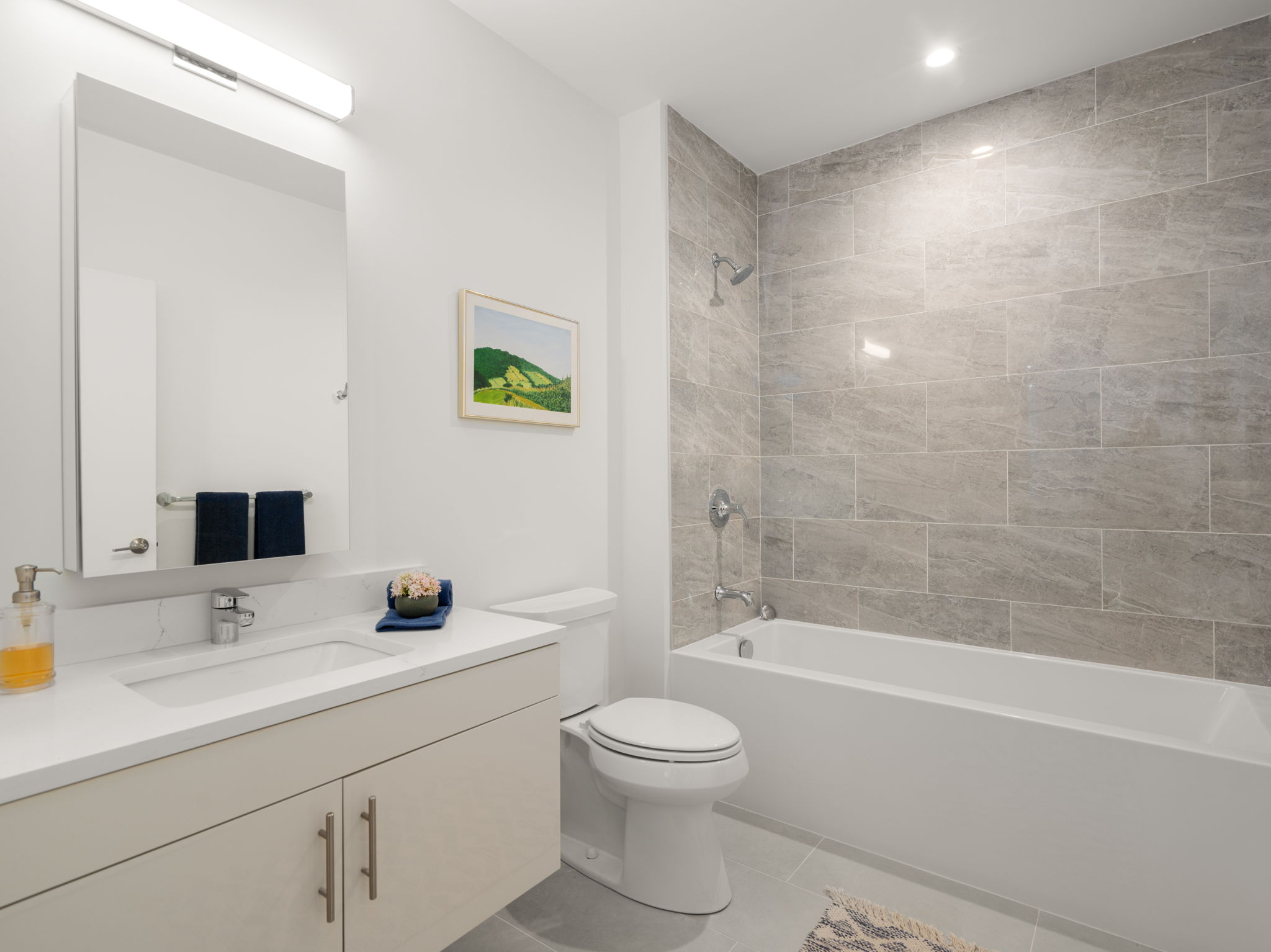  1151 Walnut, Unit 201, Newton, MA, 02461 - 物件實景