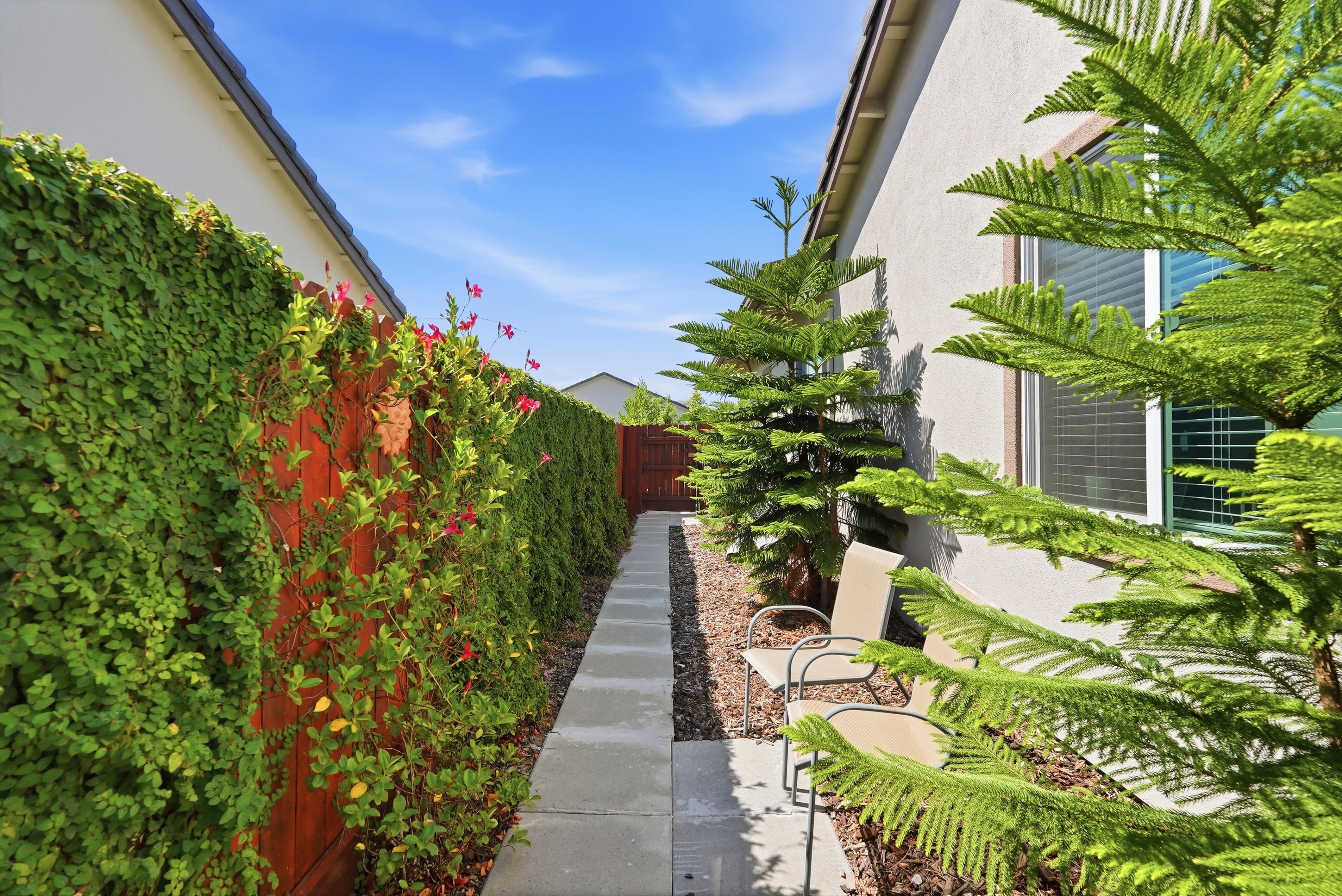  8339 Lollybush Court, Fair Oaks, CA 95628 - 物件實景