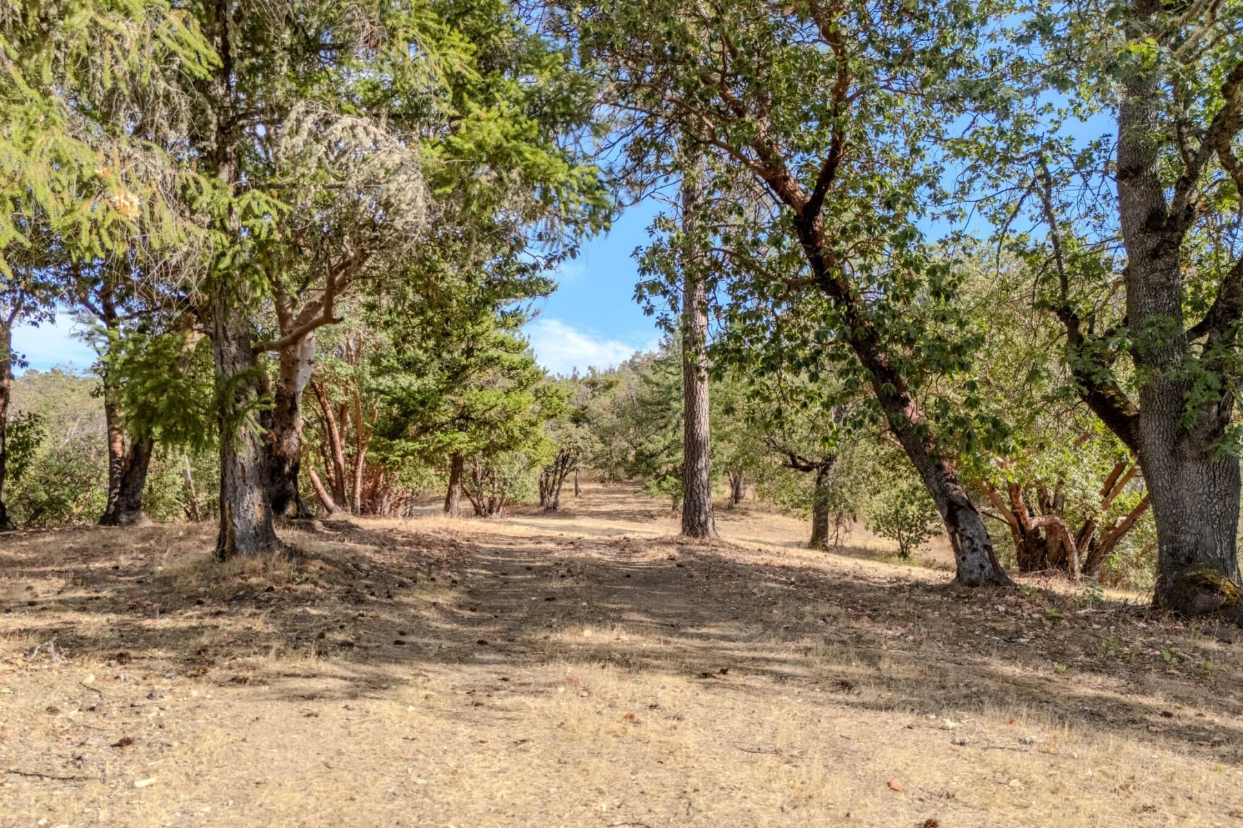  3551 S Stage Road #Lot 2 Medford, OR 97501 - 物件實景