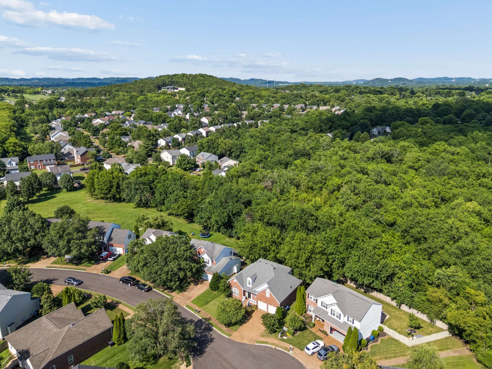  3222 Peyton Ct, Franklin, TN, 37064 - 物件實景