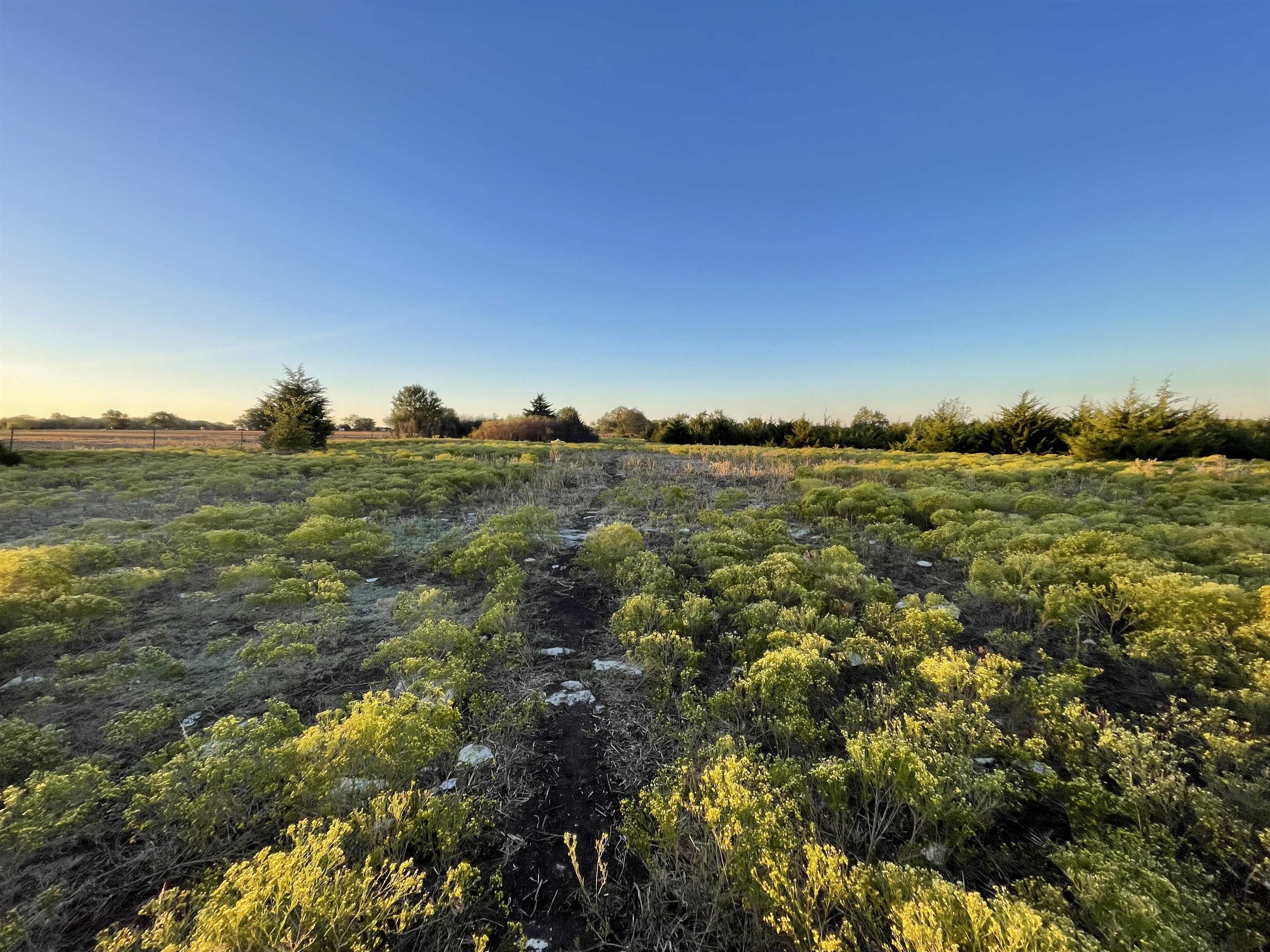 00000 SW Hwy 77, El Dorado, Kansas, 67042, United States, ,Residential,For Sale,00000 SW Hwy 77,1419987